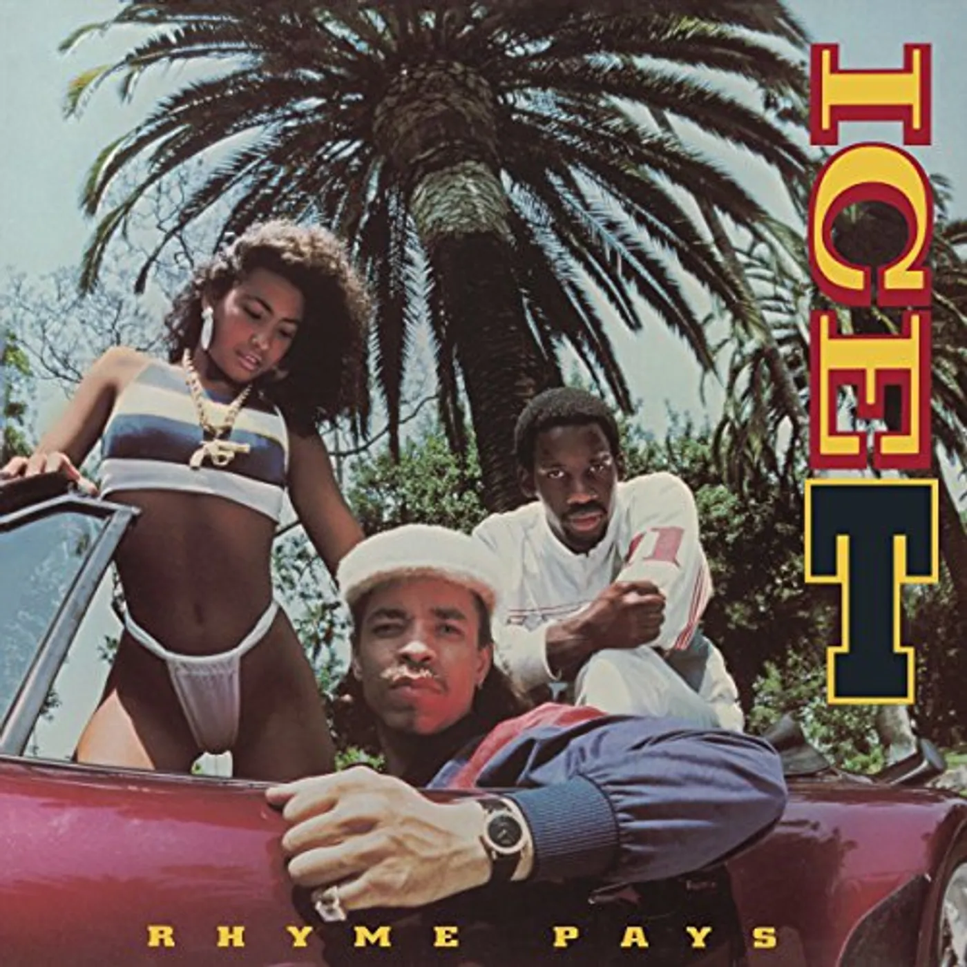 ICE-T Rhyme Pays Vinyl Record