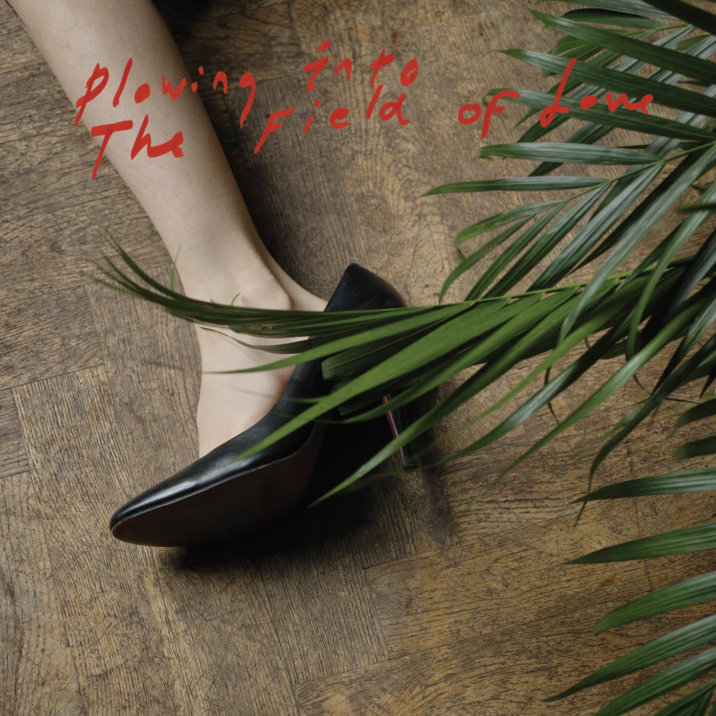 Iceage PLOWING INTO THE FIELD OF LOVE CD
