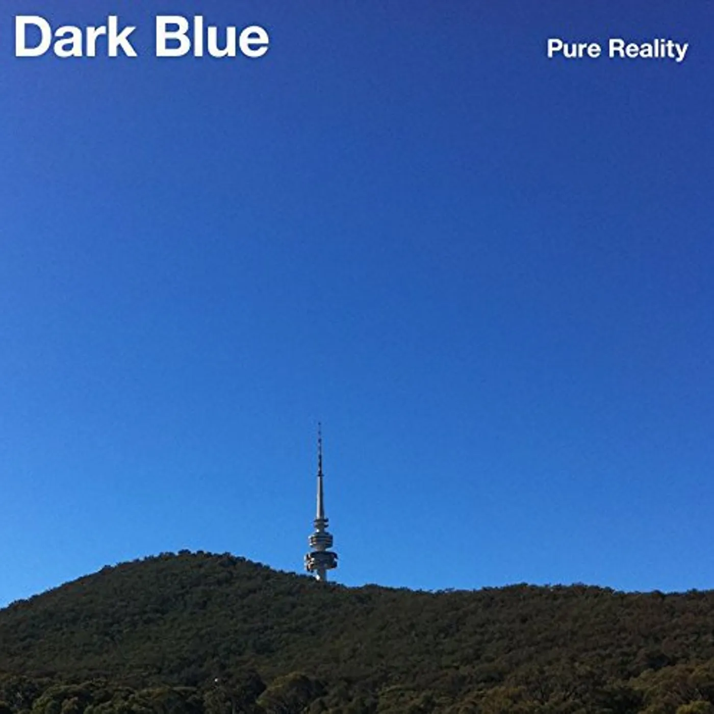 Dark Blue Pure Reality Vinyl Record
