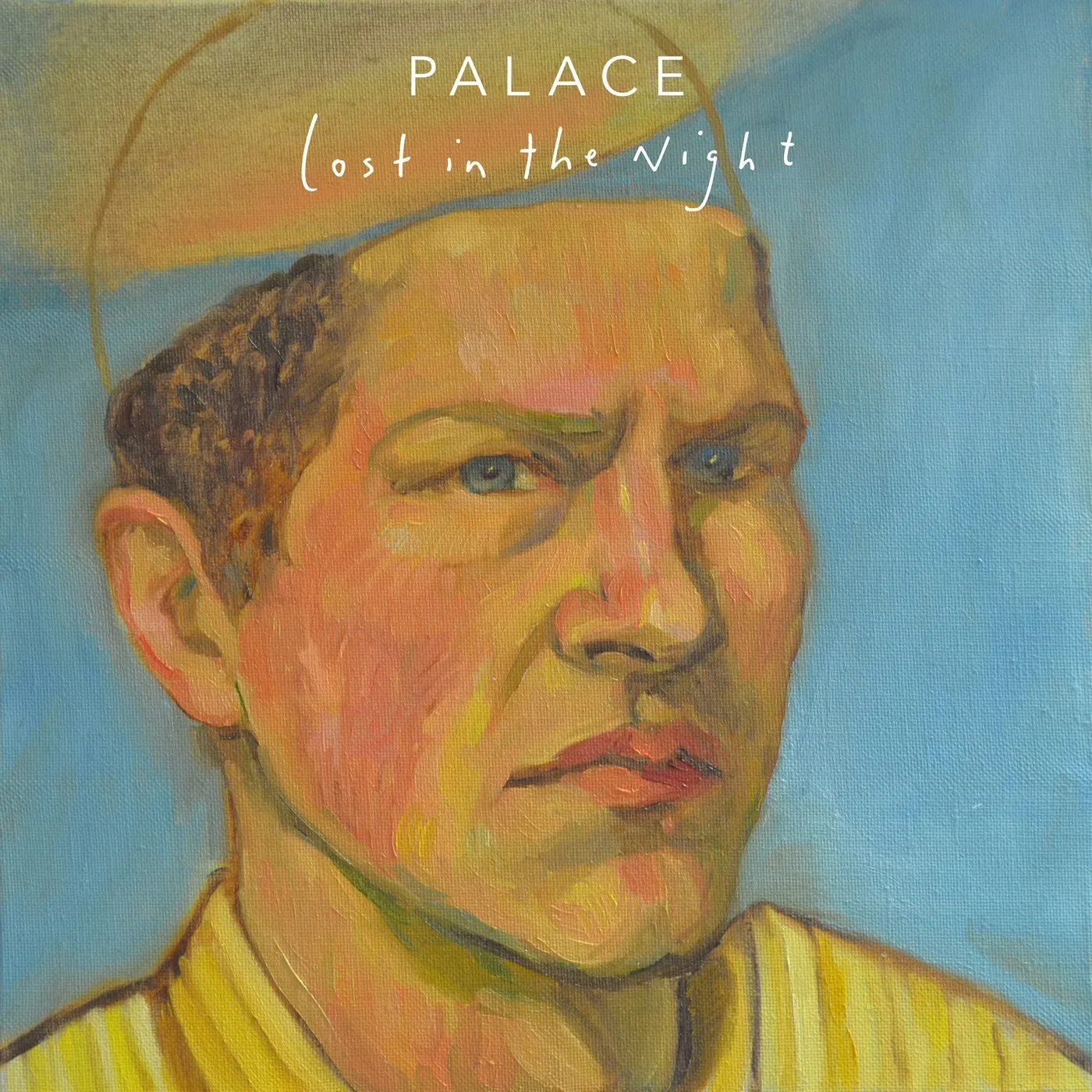 Palace Lost In The Night Vinyl Record