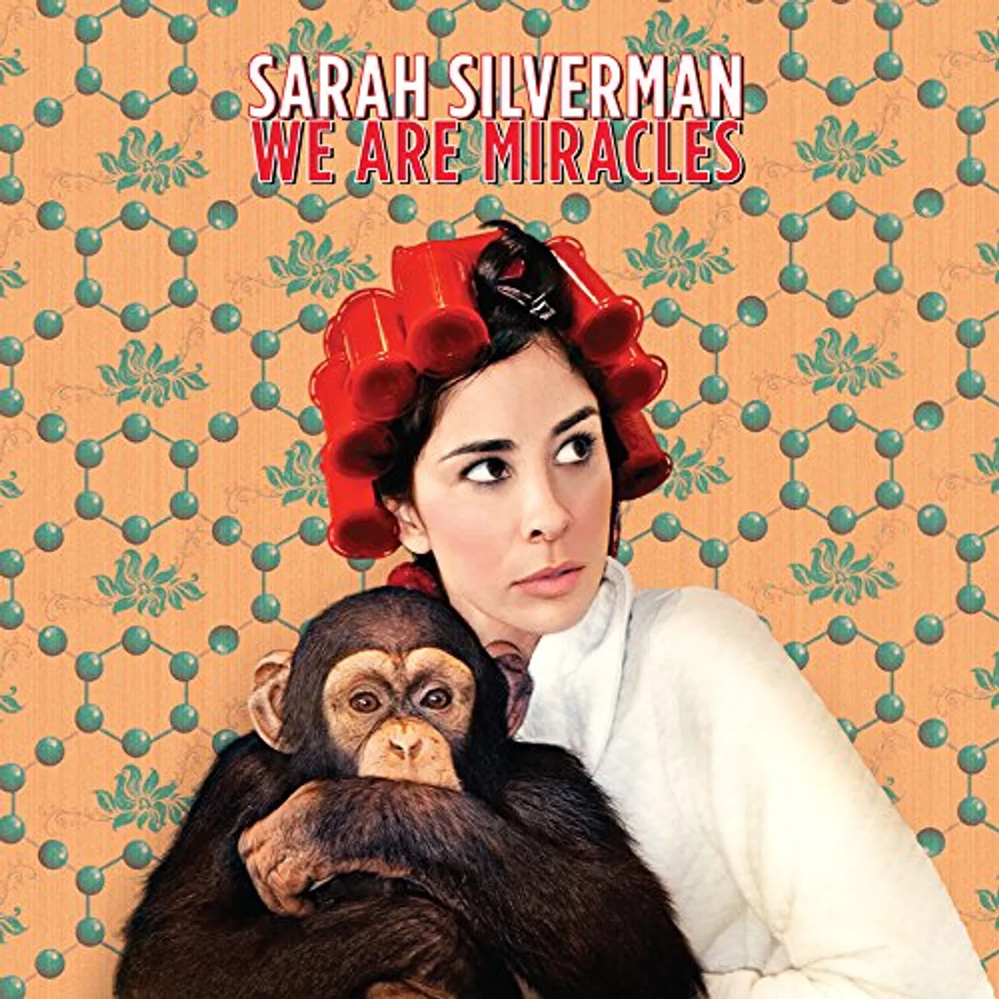Sarah Silverman We Are Miracles Vinyl Record