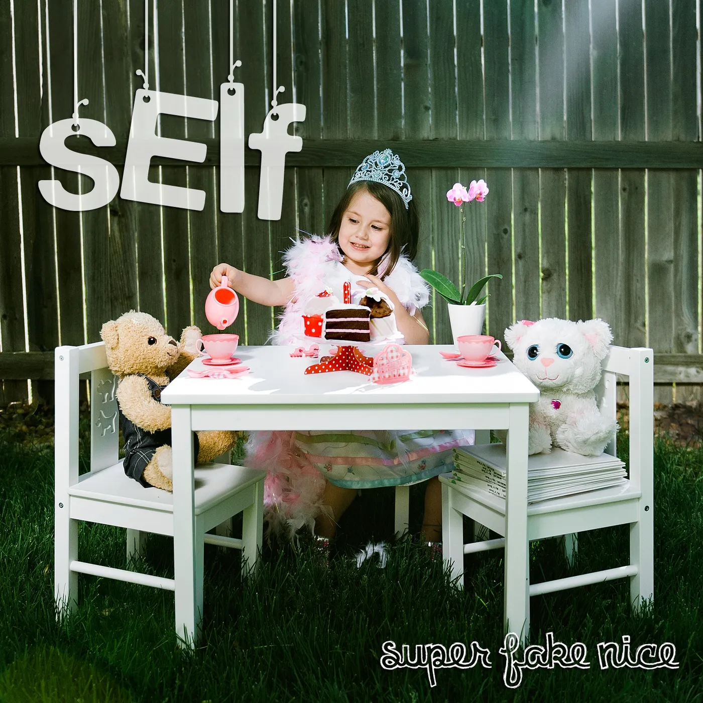 Self SUPER FAKE NICE CD
