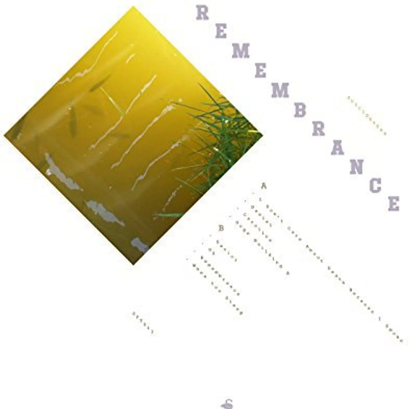 Suicideyear Remembrance Vinyl Record