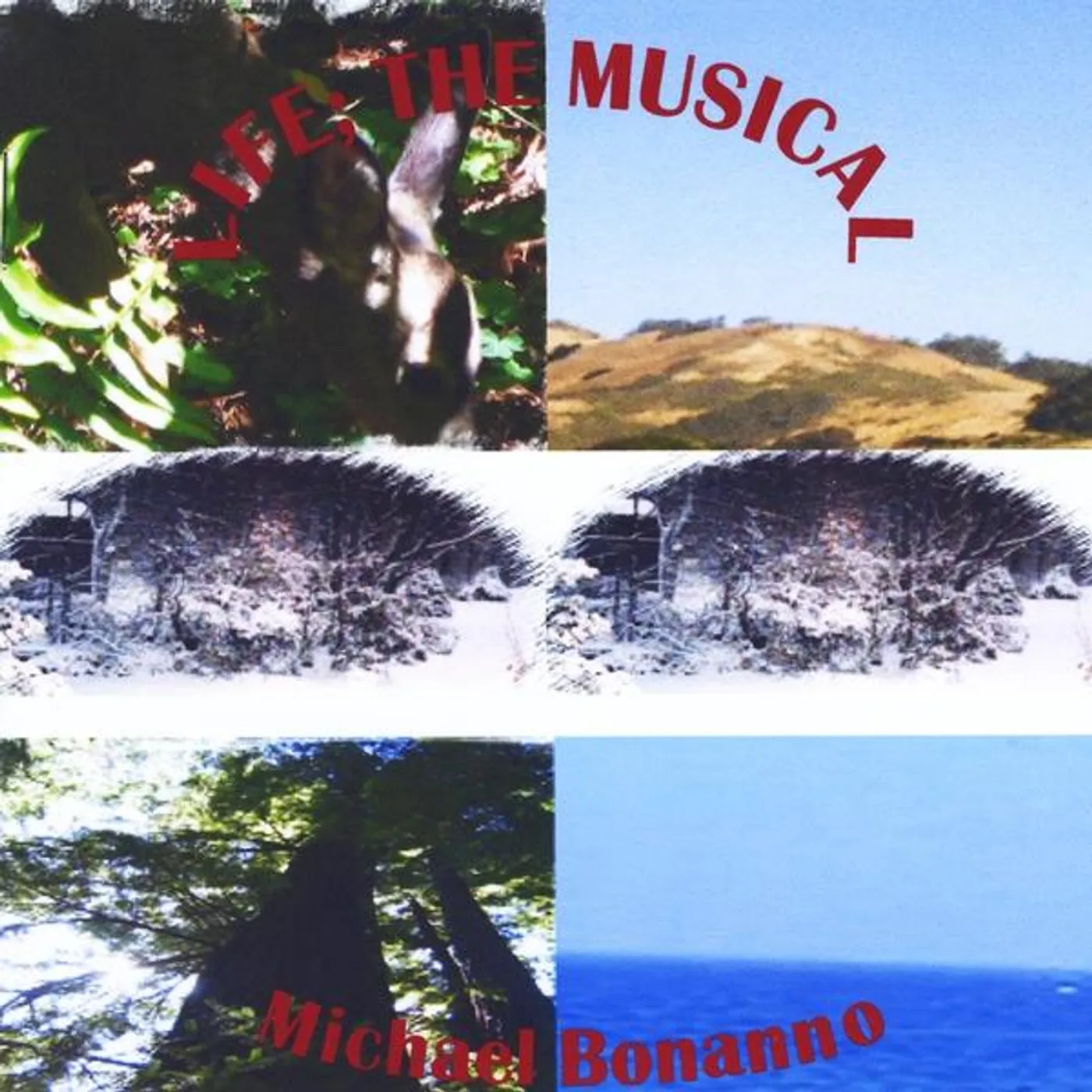 Michael Bonanno LIFE: THE MUSICAL CD