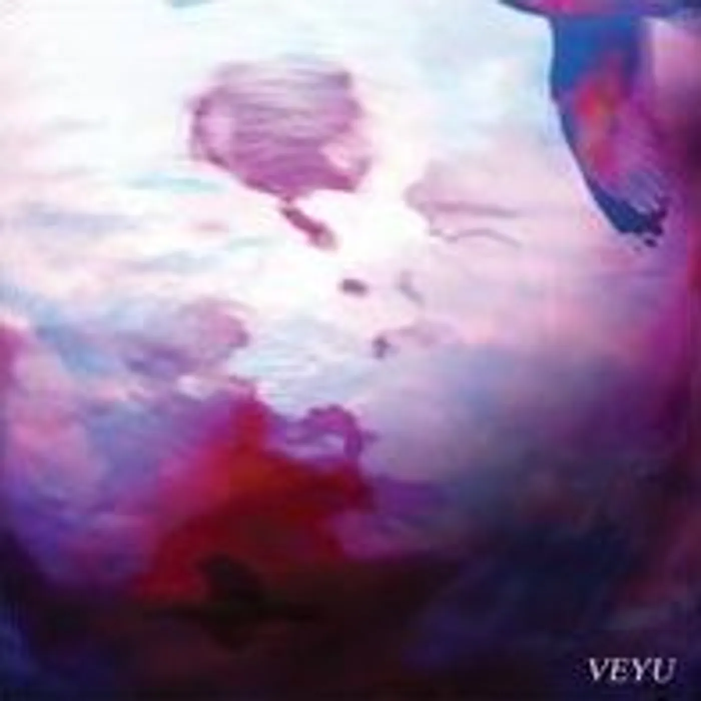 VEYU Vinyl Record - UK Release