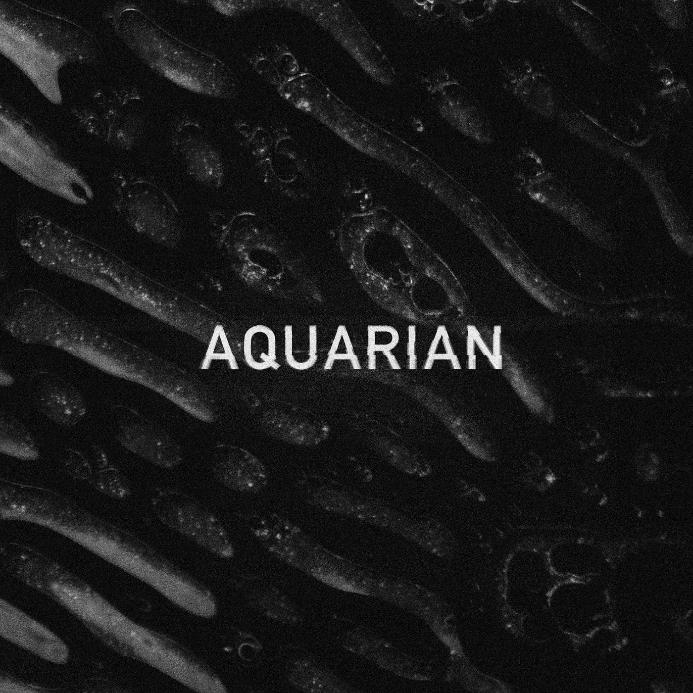 Aquarian Ep   12 Vinyl Record