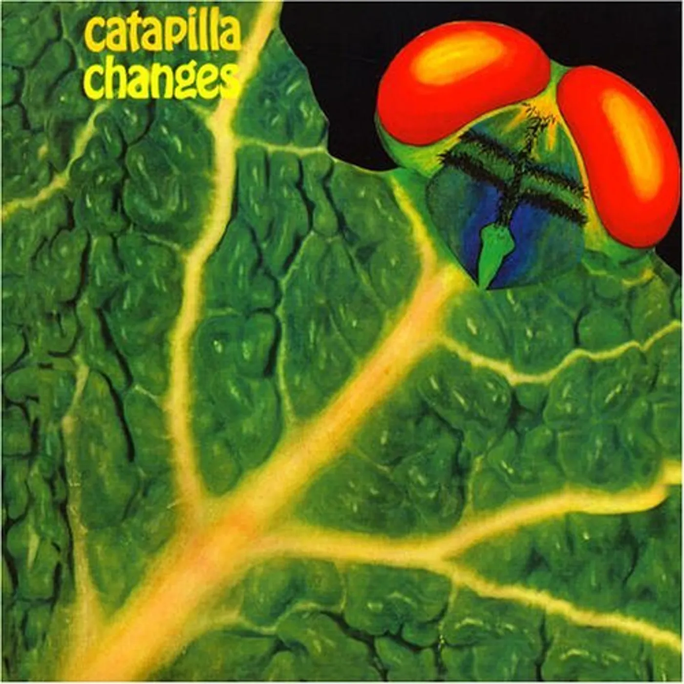 Catapilla CHANGES Vinyl Record