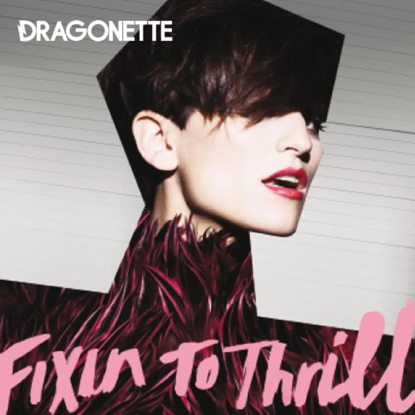 Dragonette FIXING TO THRILL CD