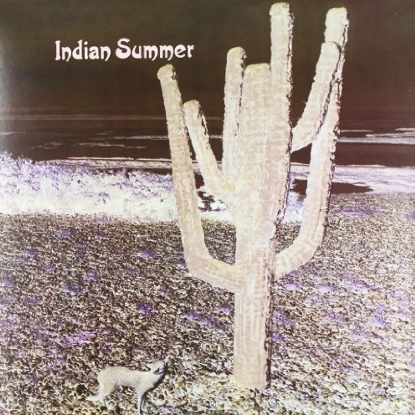 Indian Summer Vinyl Record