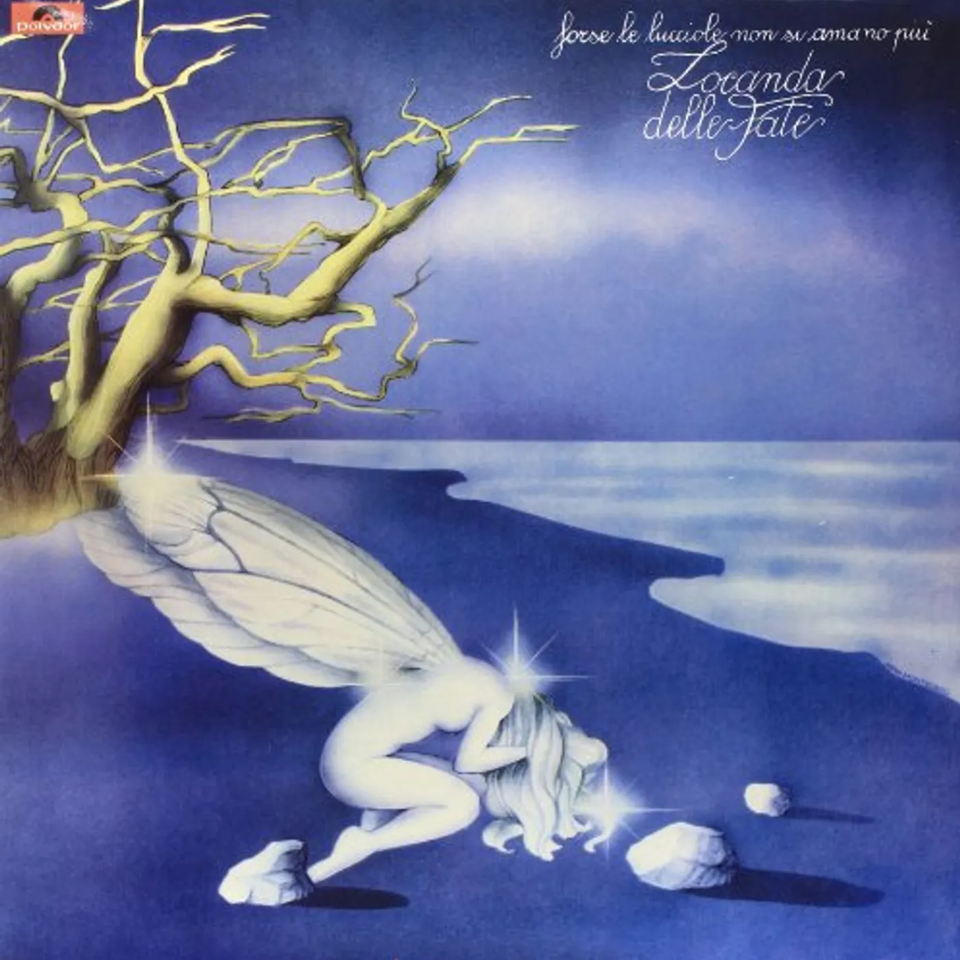 Locanda delle fate FORSE LE LUCCIOLE NON Vinyl Record