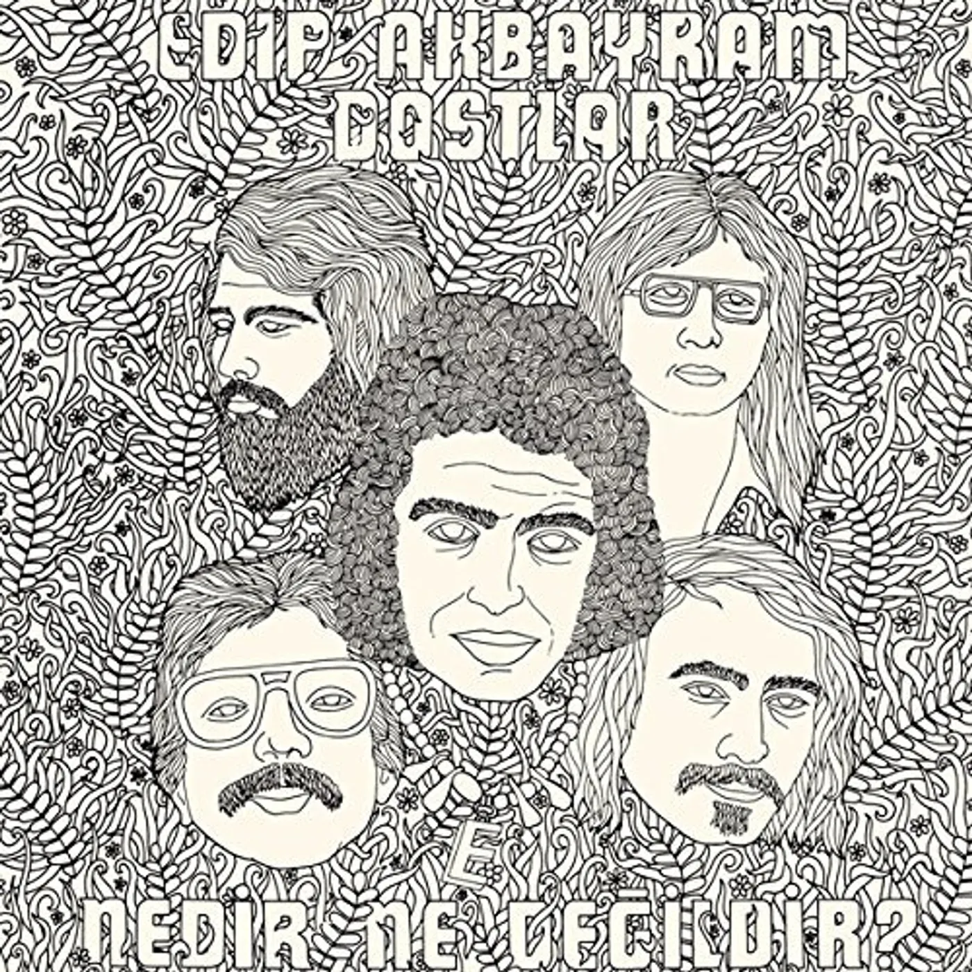 Edip Akbayram & Dostlar NEDIR NE DEGILDIR Vinyl Record
