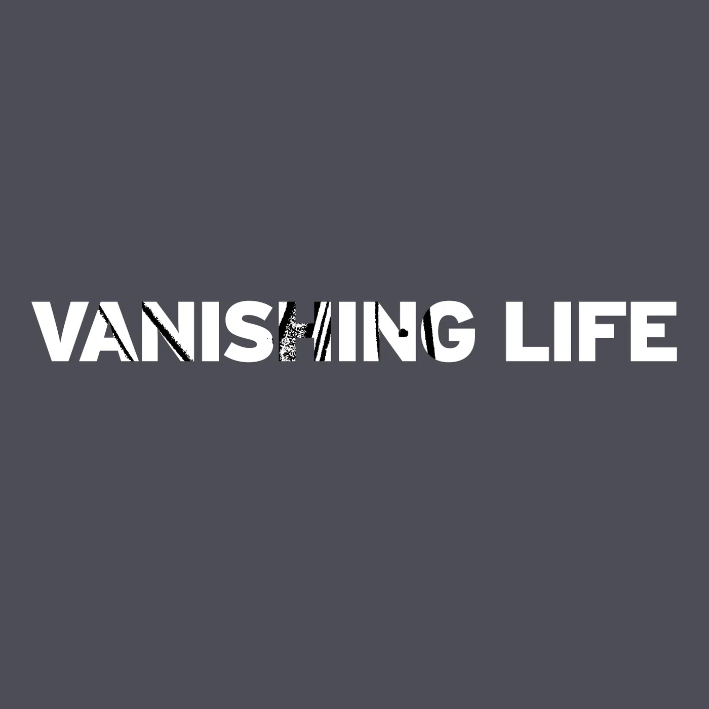 People Running / Vanishing Life Vinyl Record