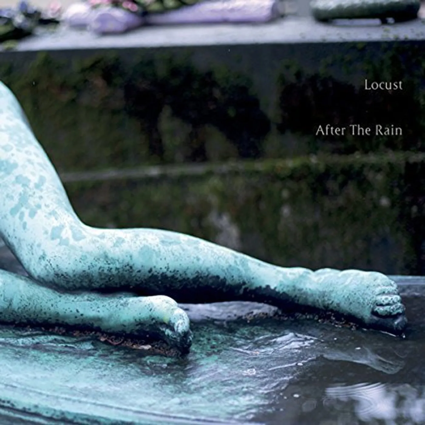Locust AFTER THE RAIN Vinyl Record