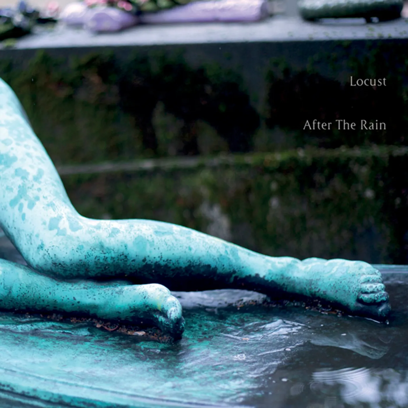 Locust AFTER THE RAIN CD