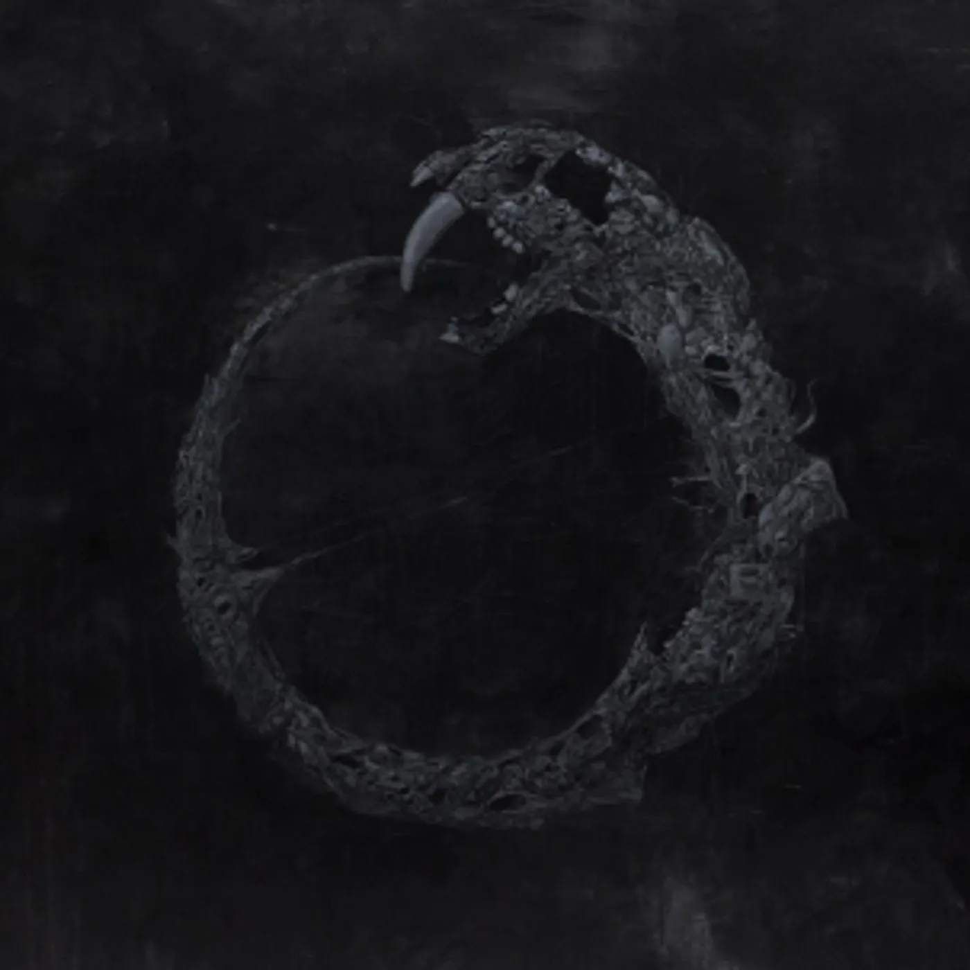 Coffinworm IV.I.VIII Vinyl Record