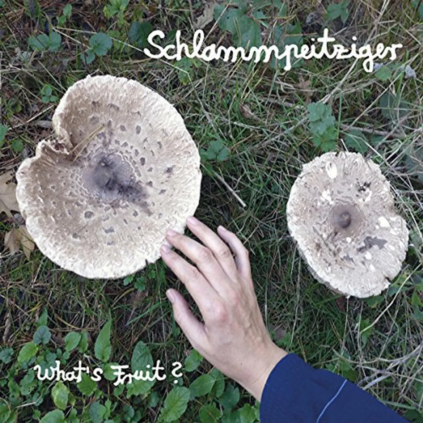 Schlammpeitziger WHATS FRUIT Vinyl Record