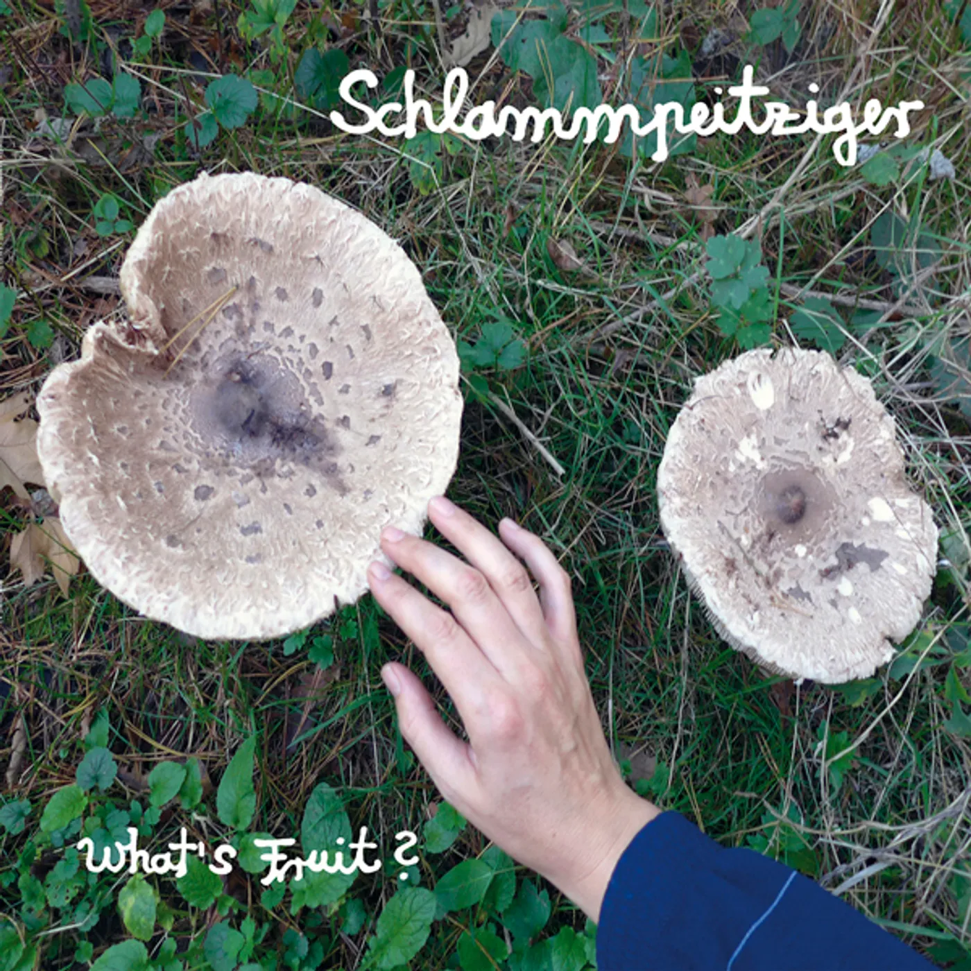 Schlammpeitziger WHATS FRUIT CD