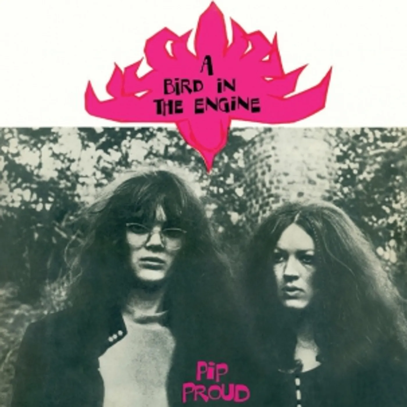 Pip Proud BIRD IN THE ENGINE Vinyl Record