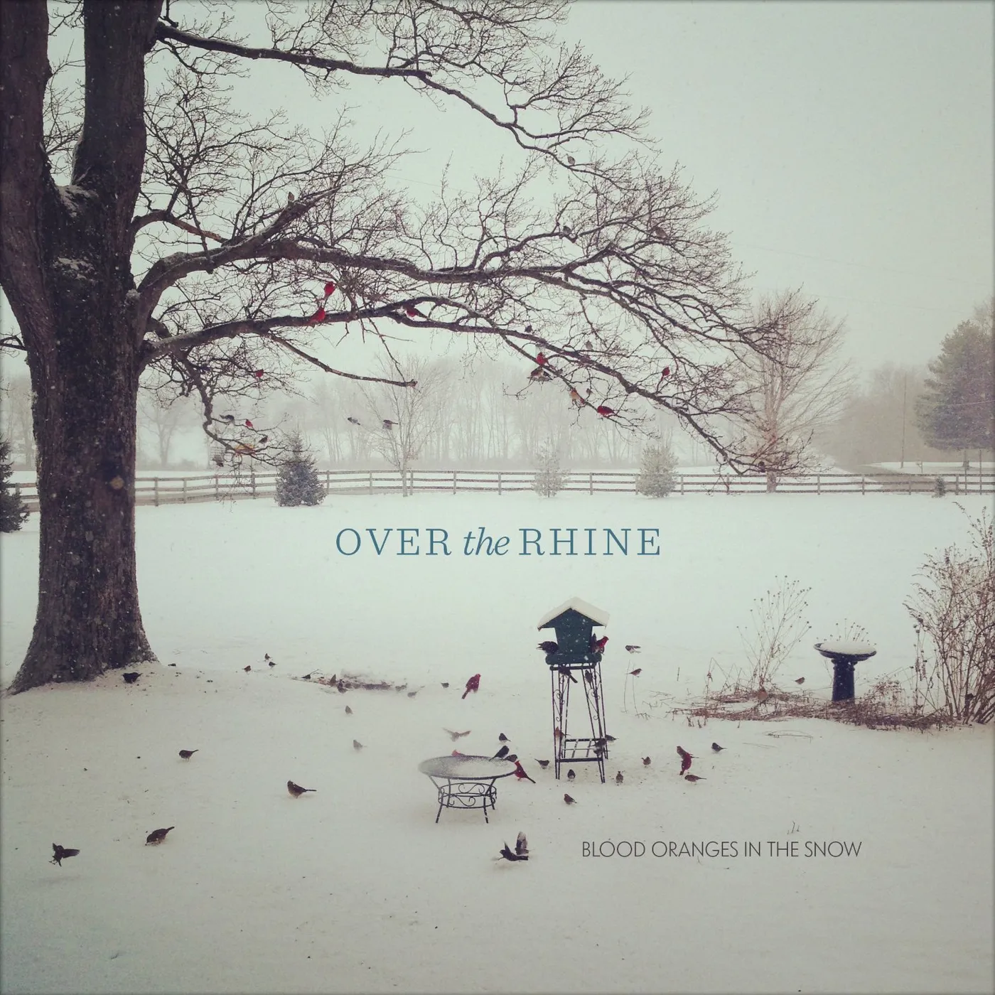 Over the Rhine BLOOD ORANGES IN THE SNOW CD