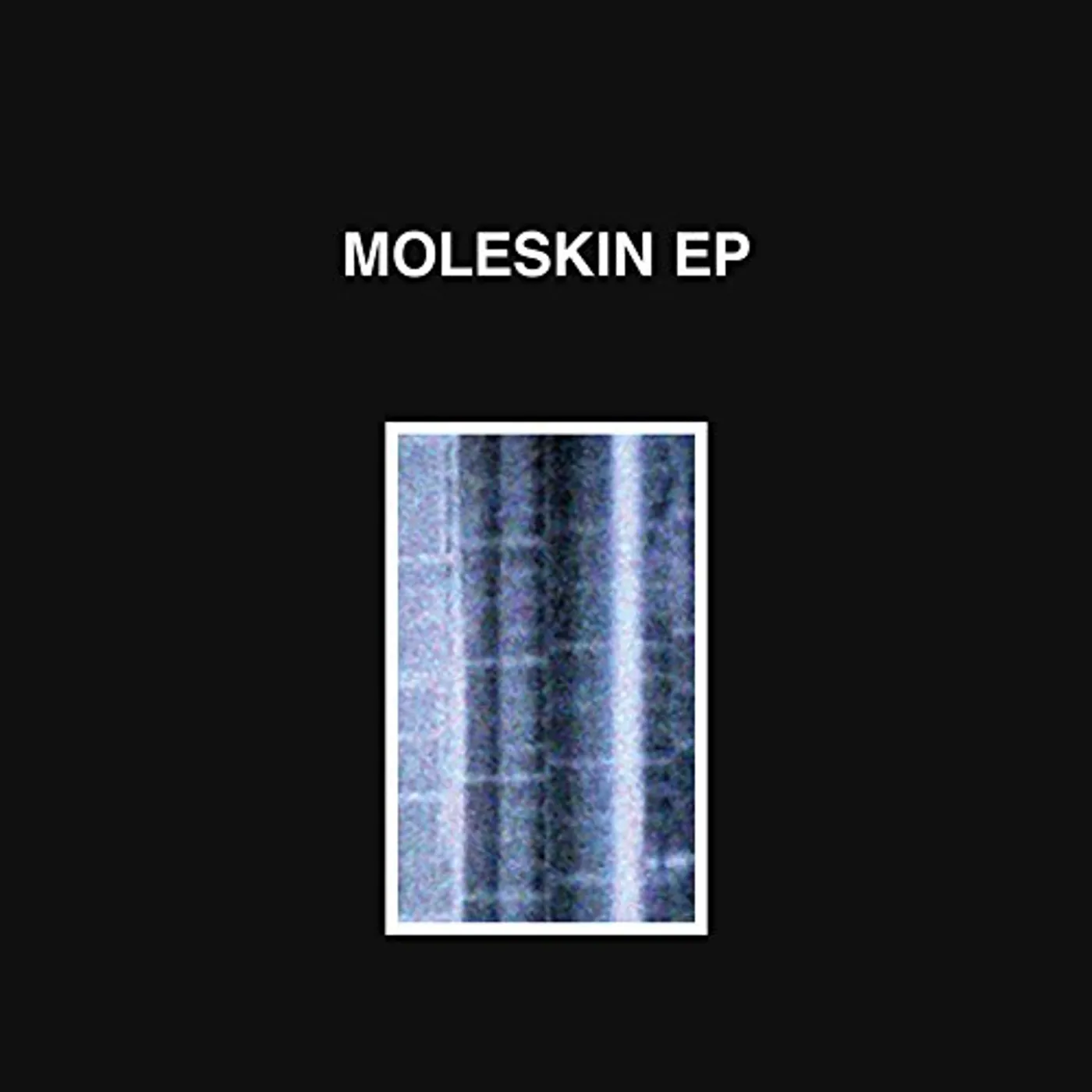 Moleskin Vinyl Record
