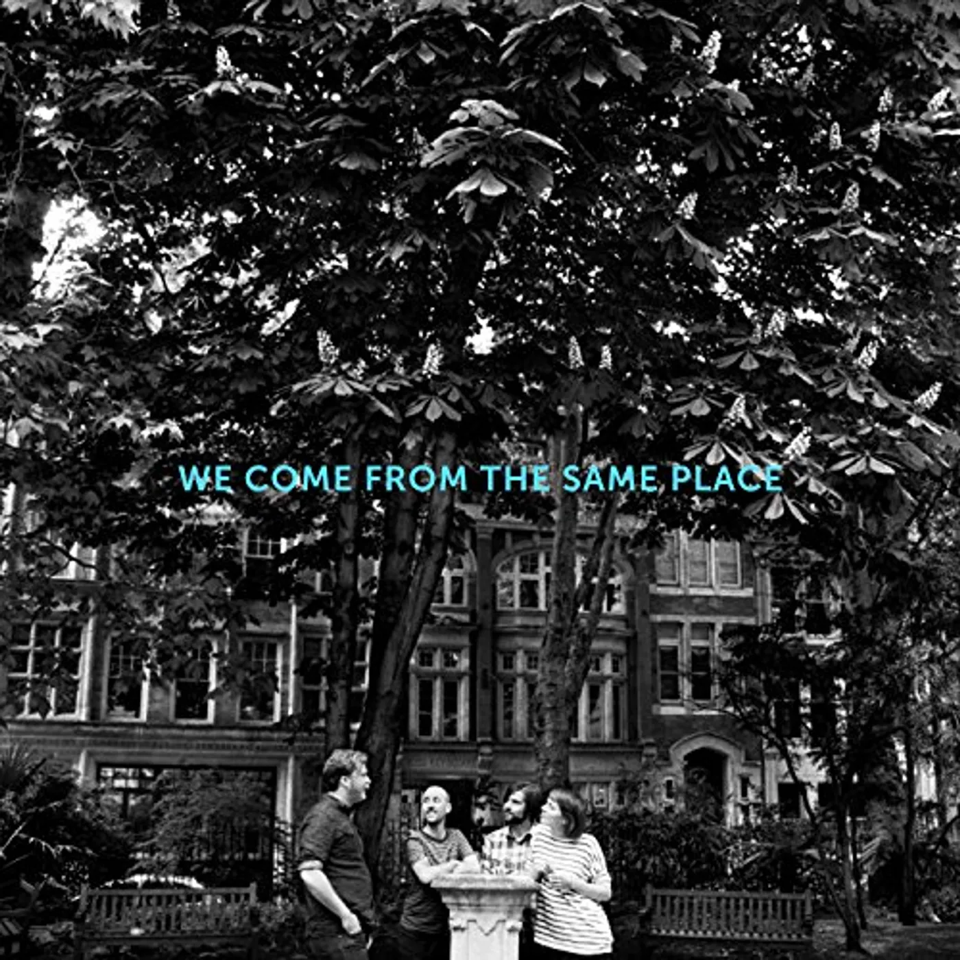Allo Darlin' We Come from the Same Place Vinyl Record