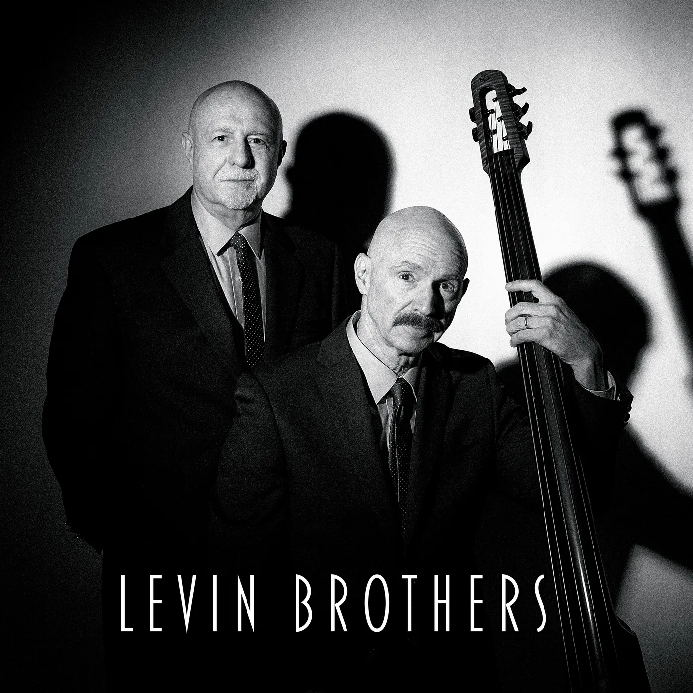 Levin Brothers Vinyl Record