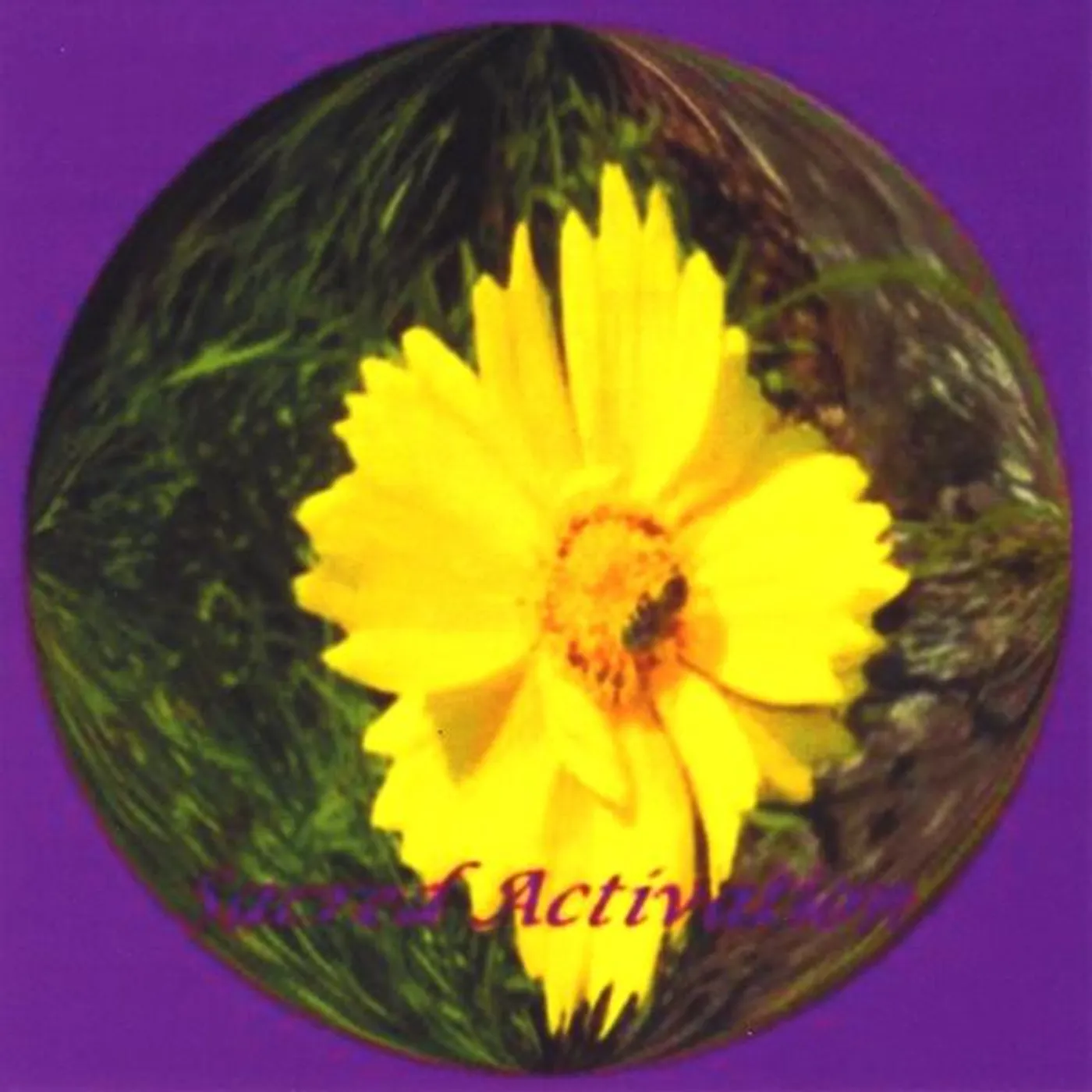 Dorothea O. Grant SACRED ACTIVATION CD
