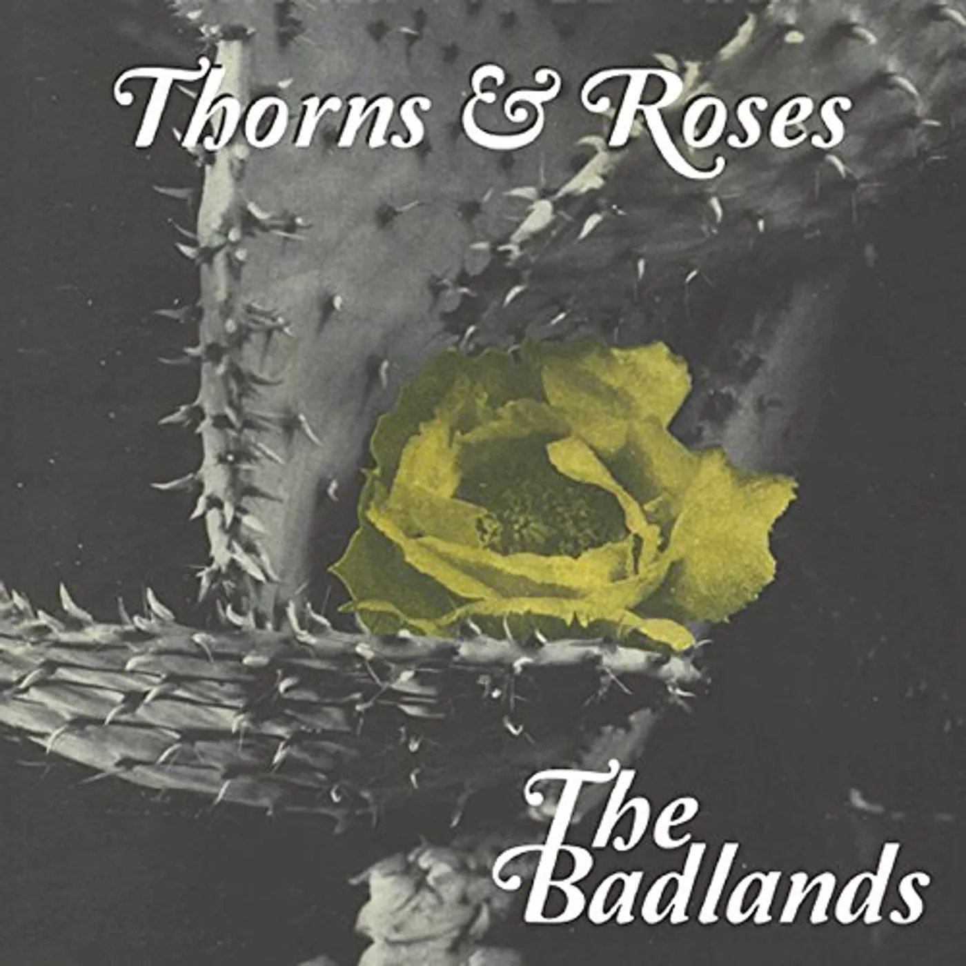Badlands THORNS & ROSES CD