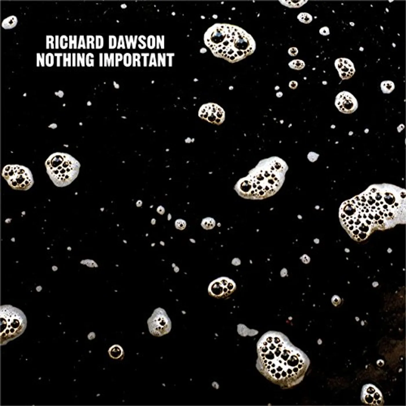 Richard Dawson NOTHING IMPORTANT Vinyl Record