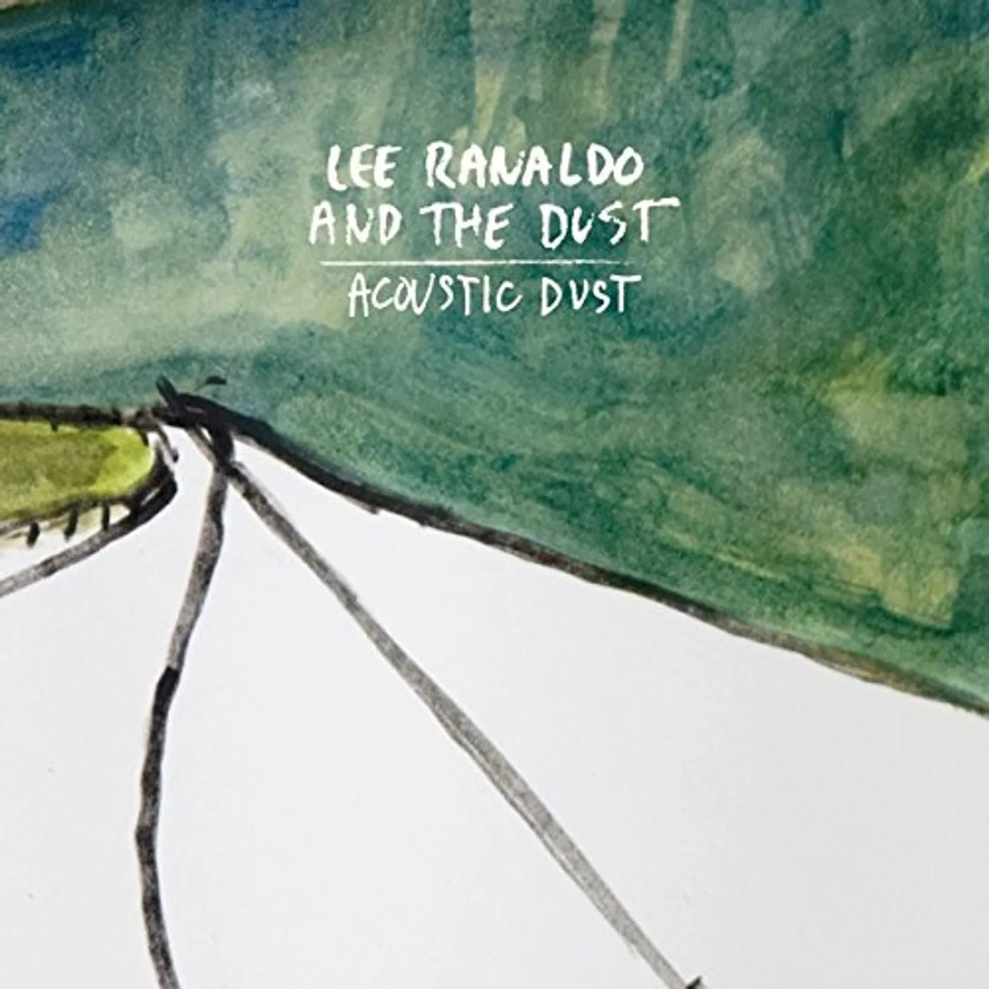 Lee Ranaldo ACOUSTIC DUST Vinyl Record - UK Release