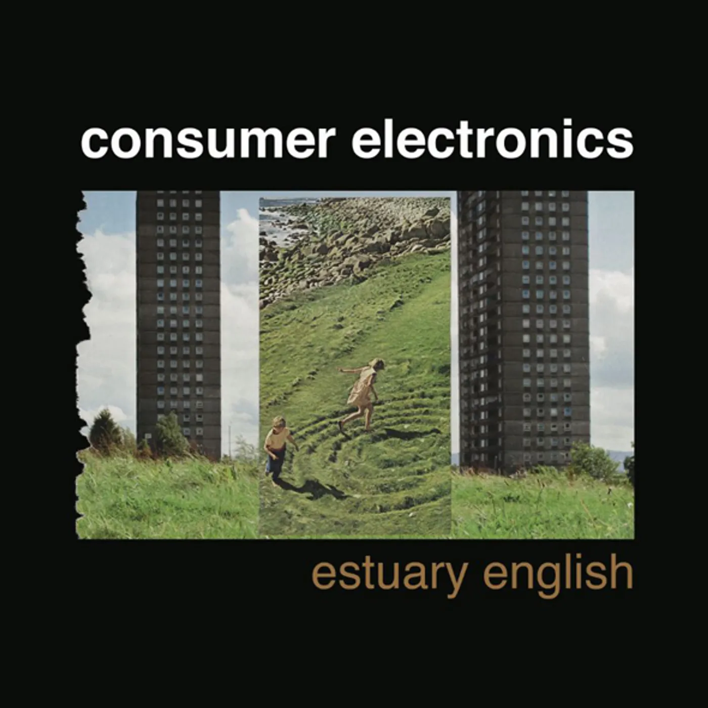 Consumer Electronics Estuary English Vinyl Record