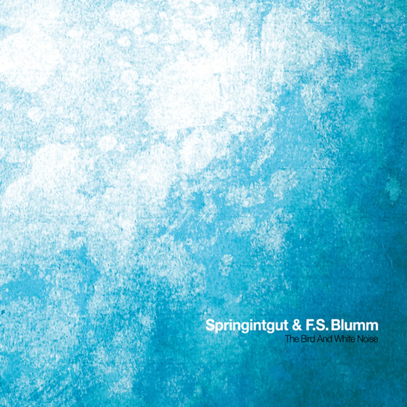 Springintgut & F.S. Blumm BIRD & WHITE NOISE Vinyl Record
