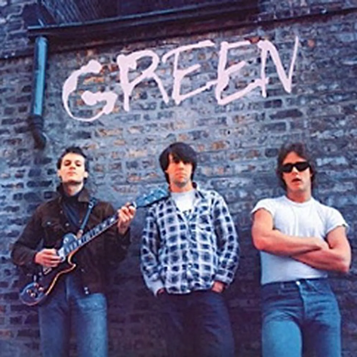 The GreenVinyl Record