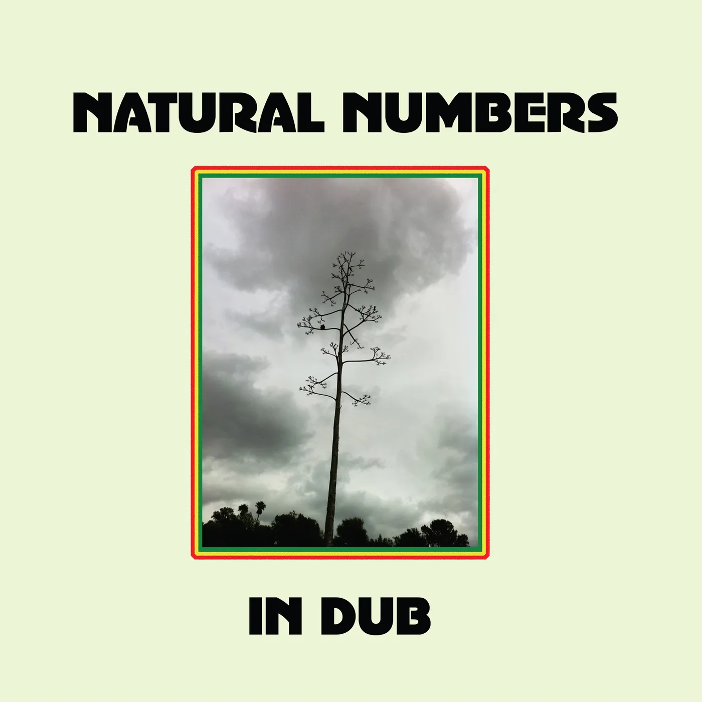 Natural Numbers In Dub Vinyl Record