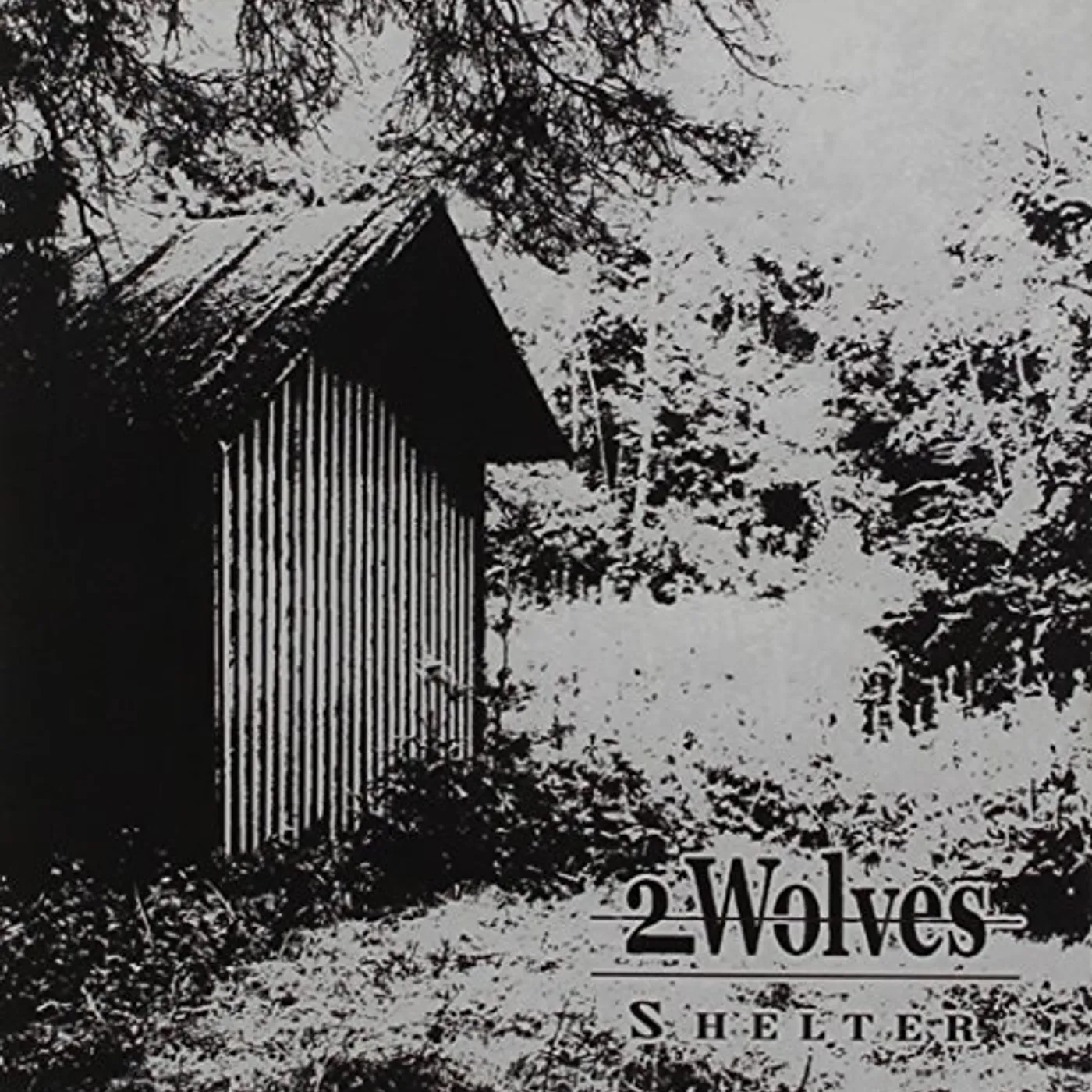 2 Wolves SHELTER CD