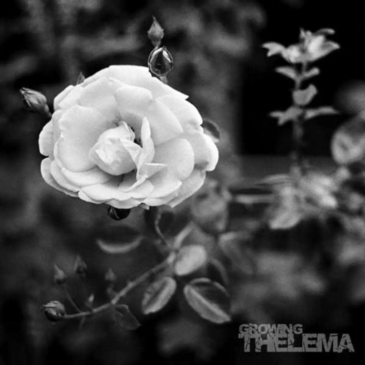 Thelma GROWING / Original Soundtrack Vinyl Record