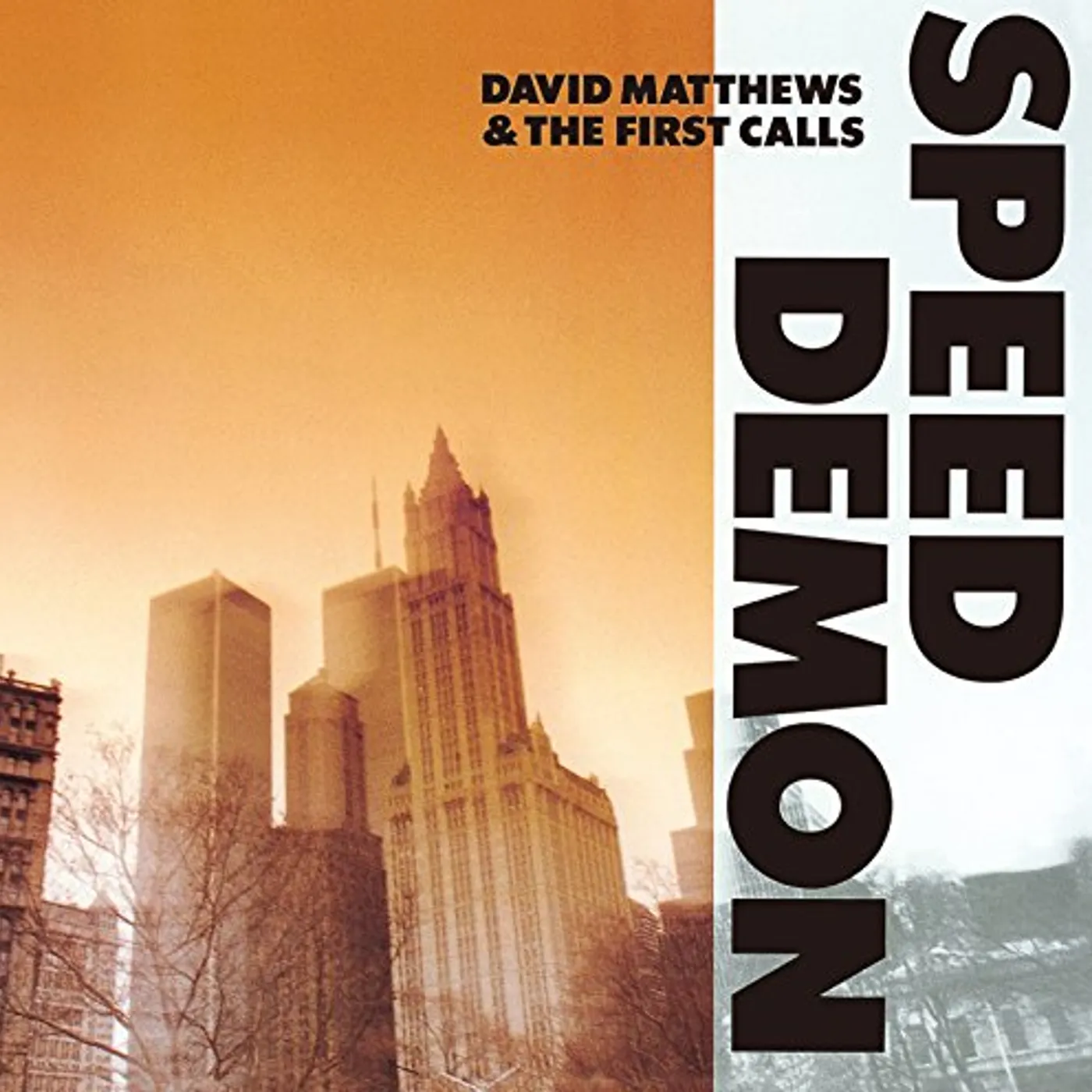 David Matthews SPEED DEMON (& FIRST CALL) CD