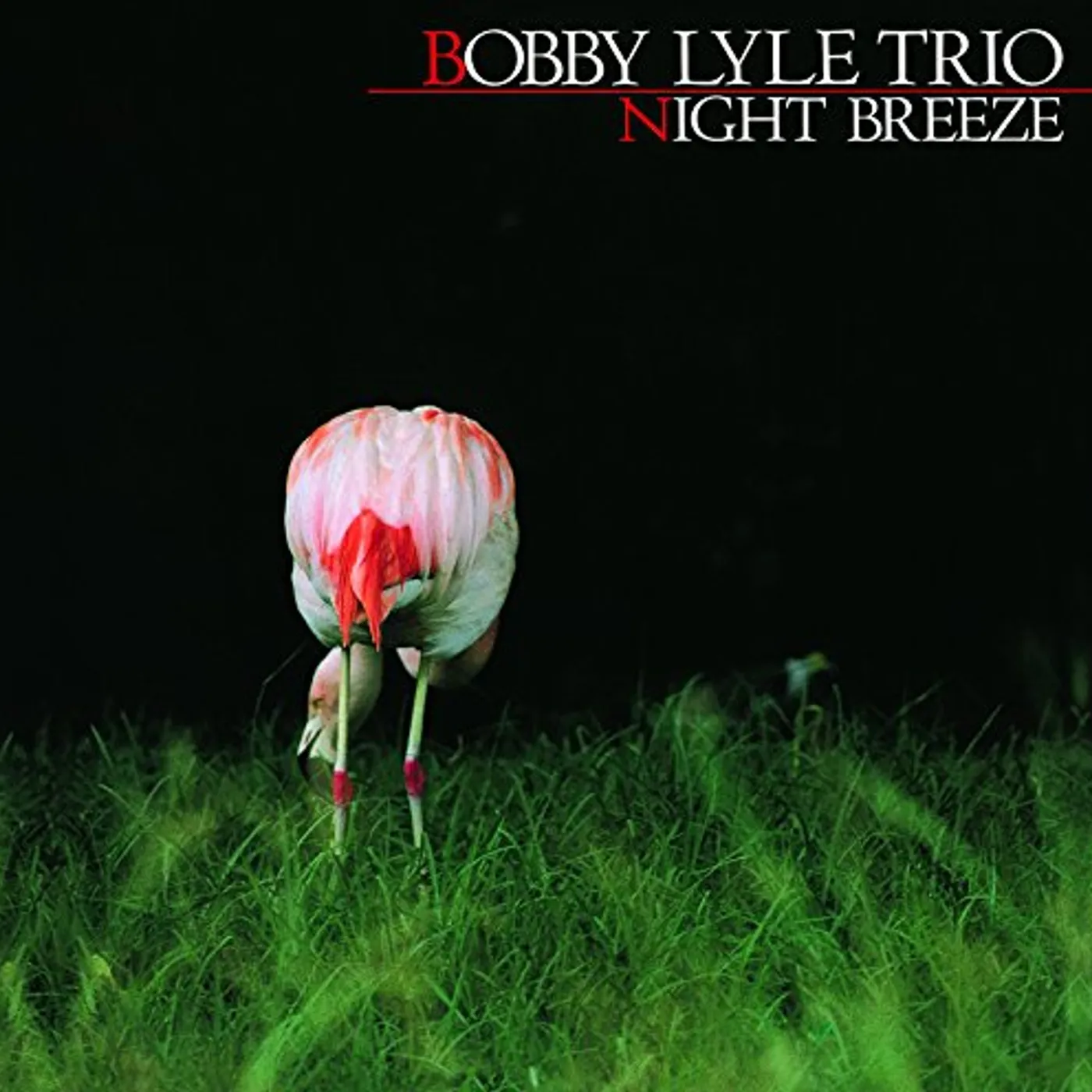 Bobby Lyle NIGHT BREEZE CD