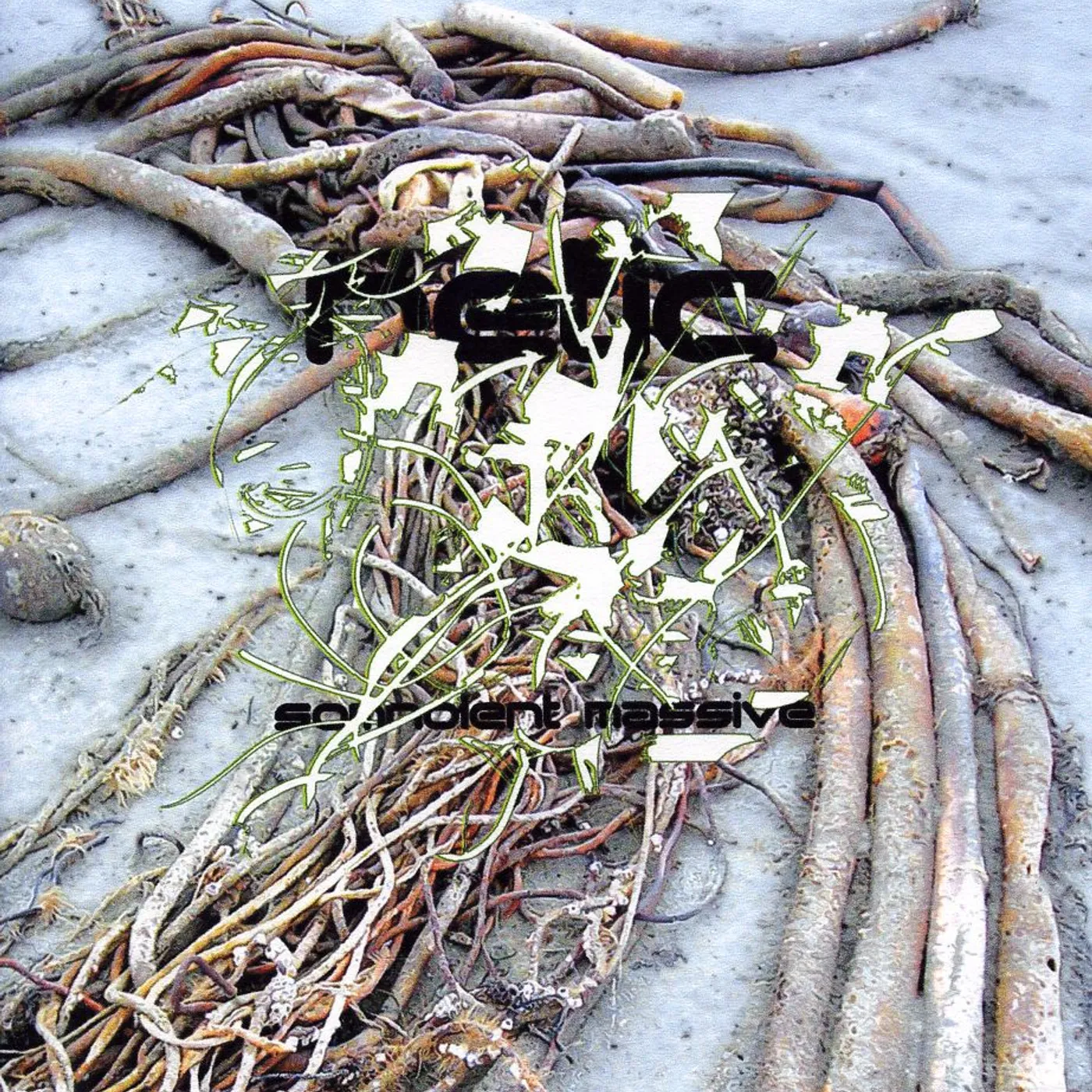 Retic SOMNOLENT MASSIVE CD