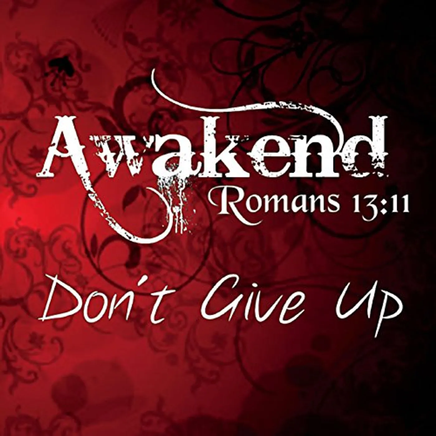 Awakend DON'T GIVE UP CD