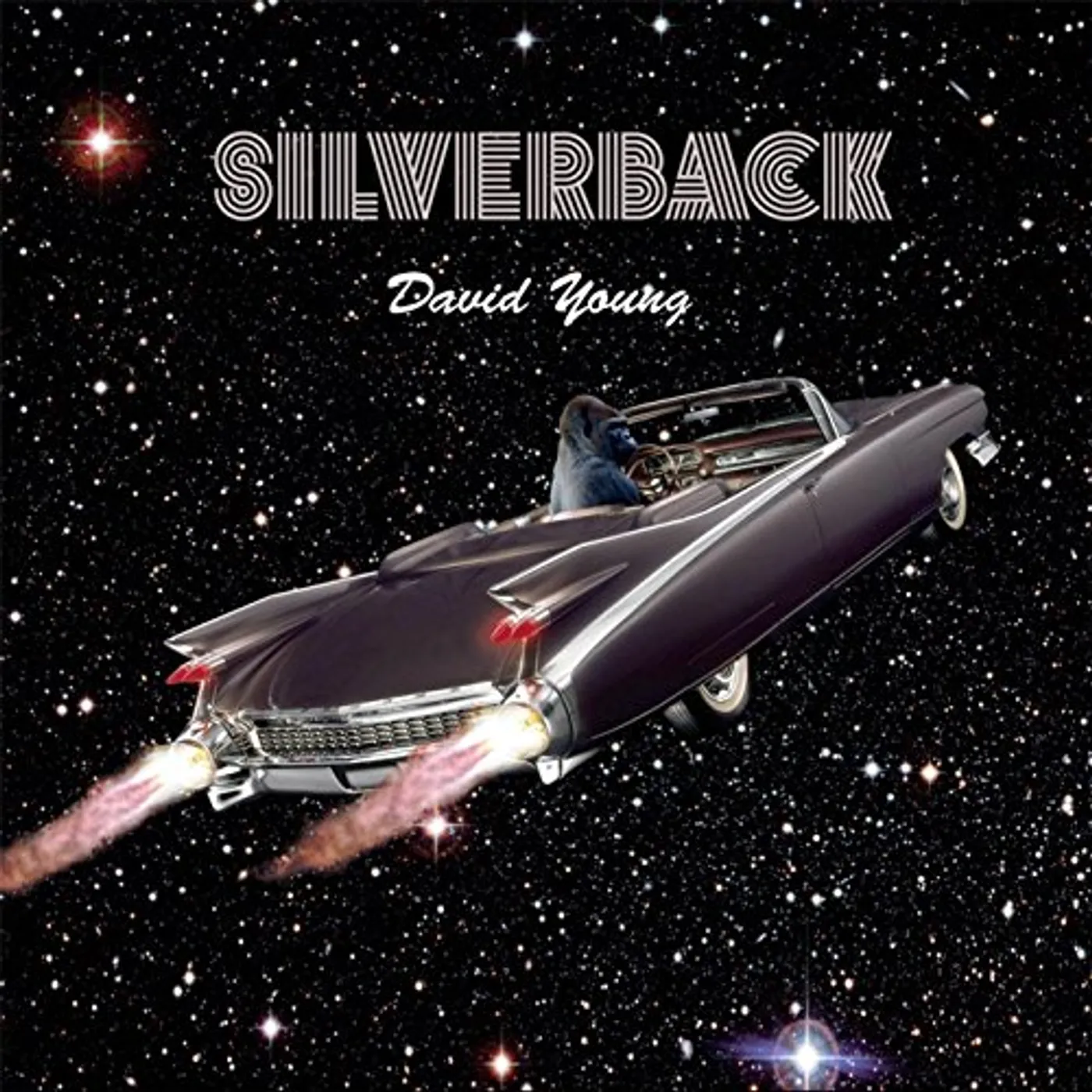 David Young SILVERBACK CD
