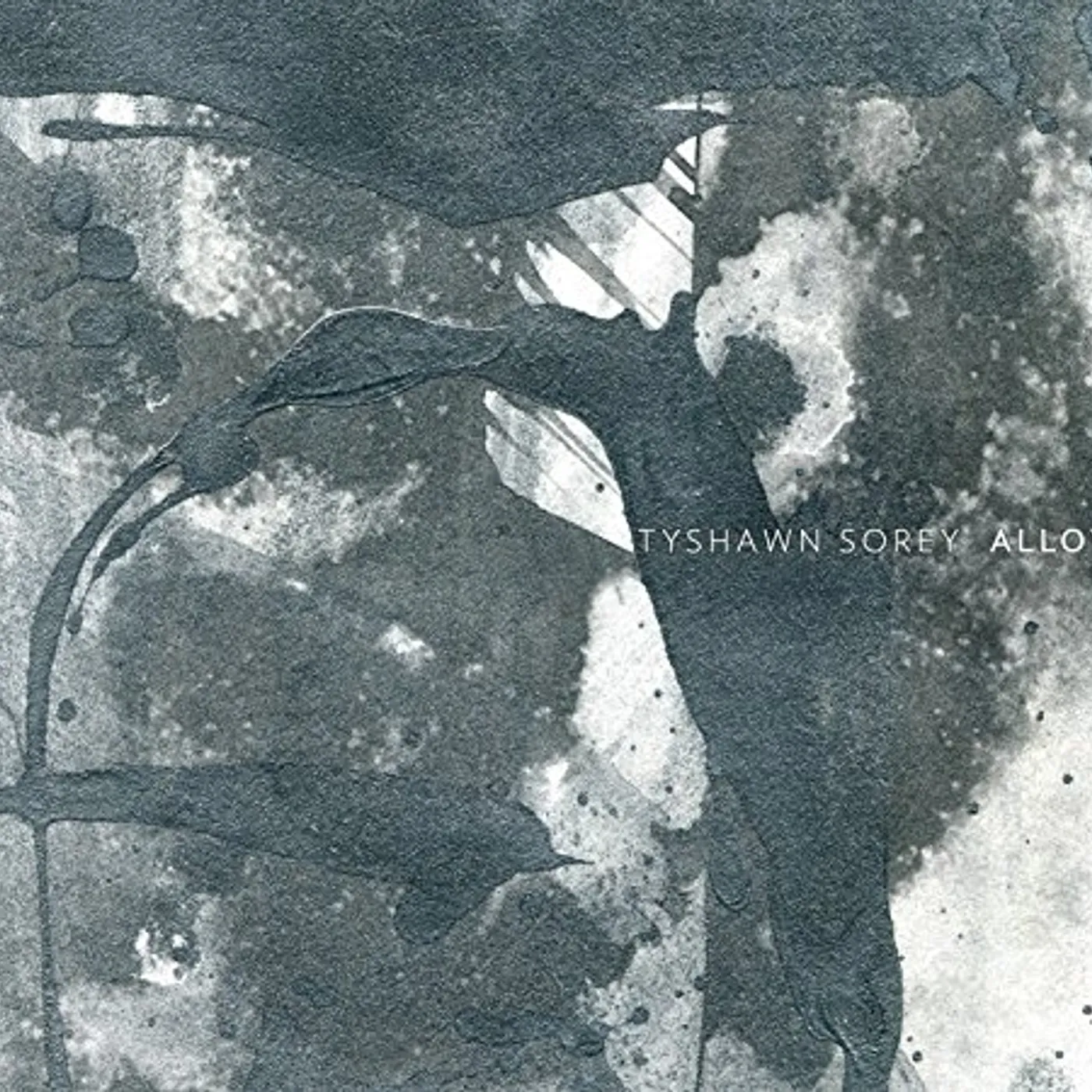 Tyshawn Sorey ALLOY CD