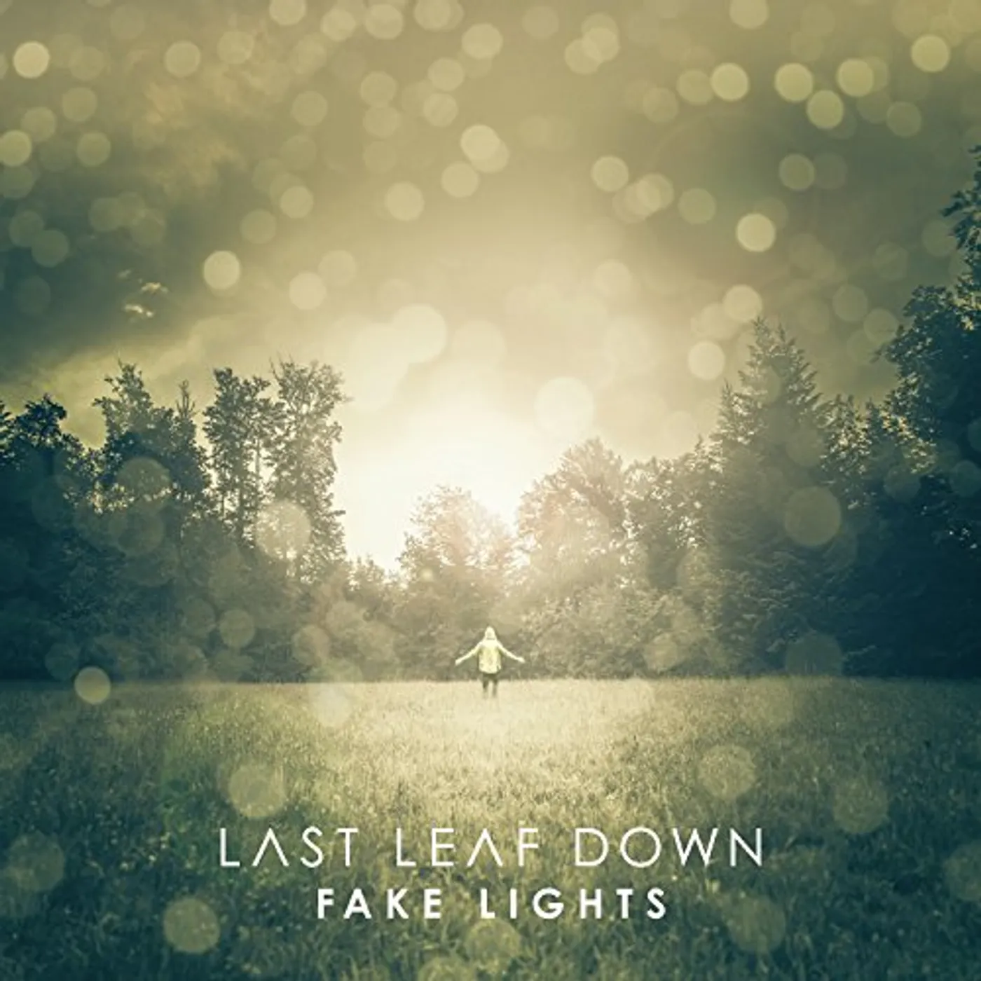 Last Leaf Down FAKE LIGHTS CD