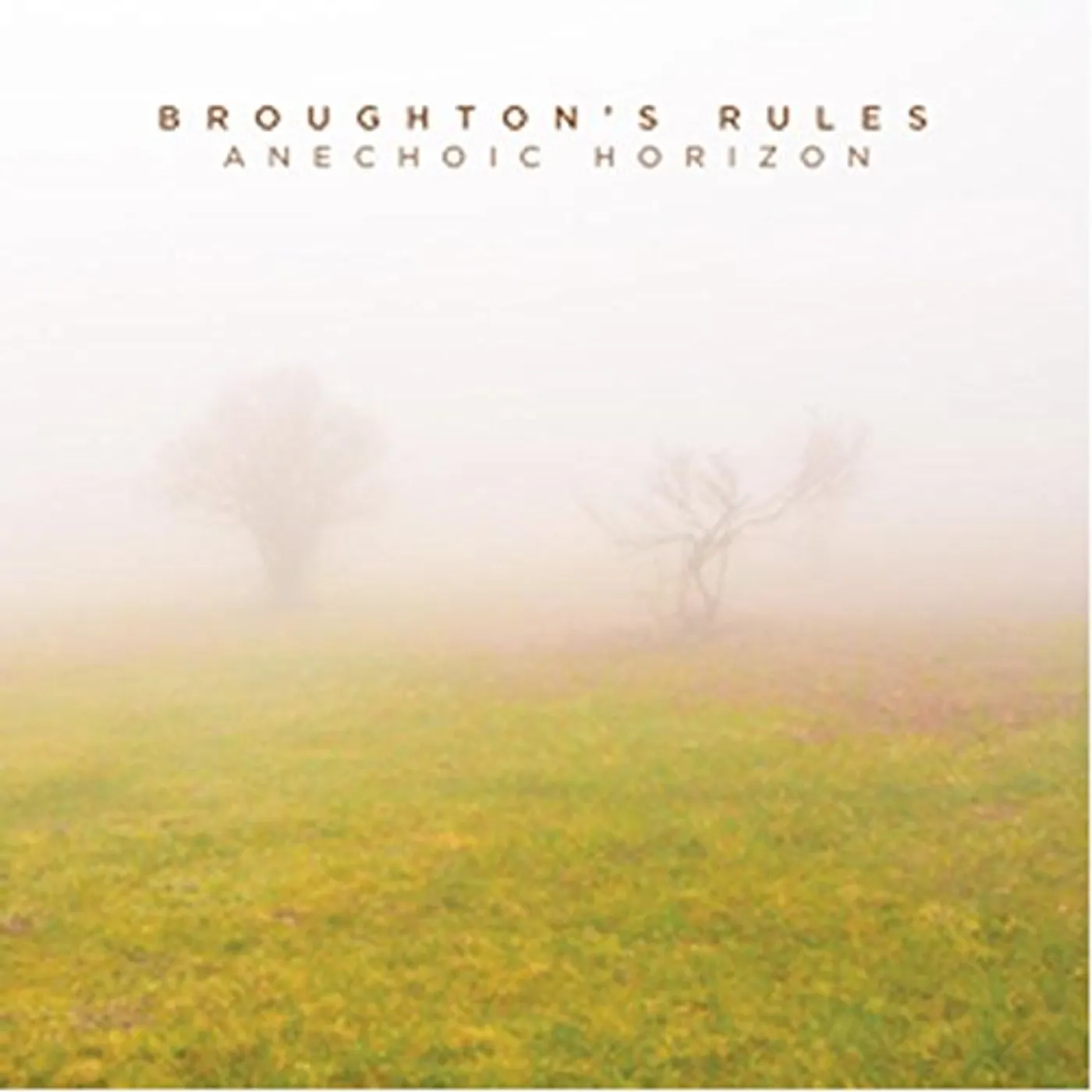 Broughton's Rules ANECHOIC HORIZON CD