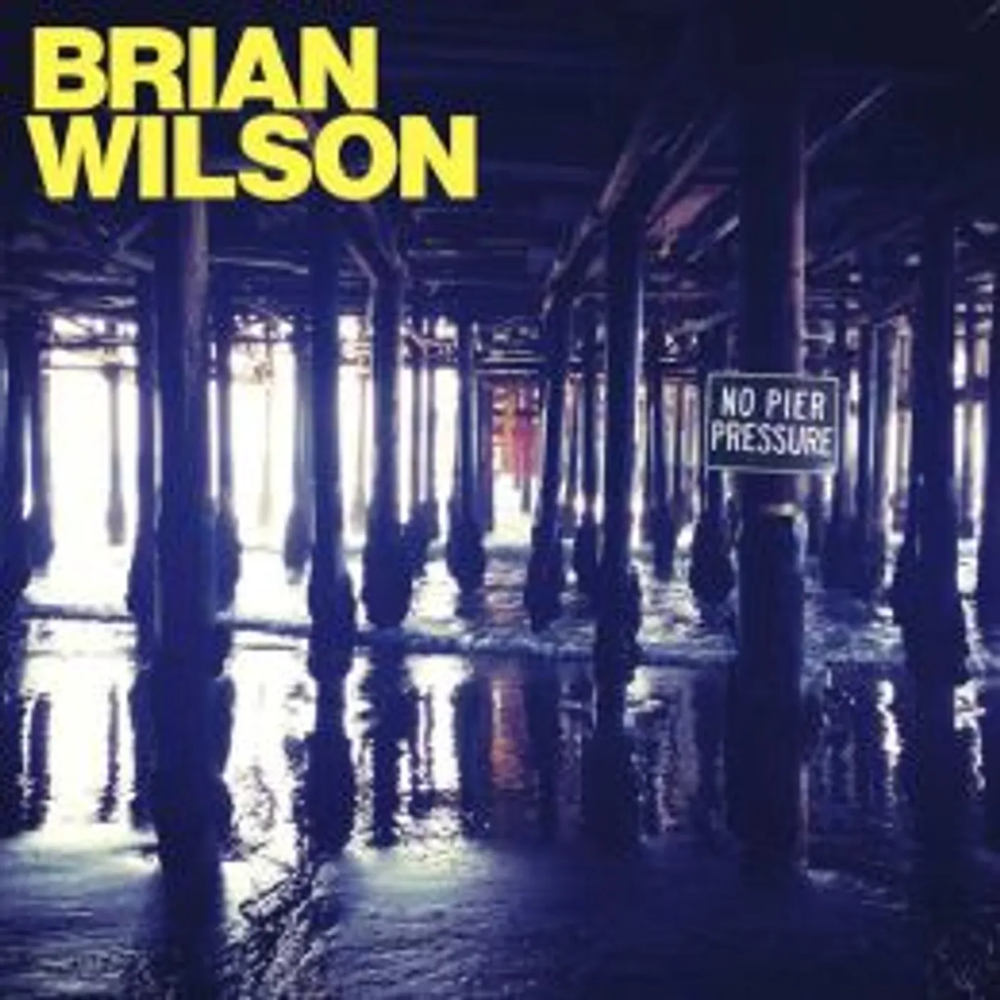 Brian Wilson NO PIER PRESSURE CD