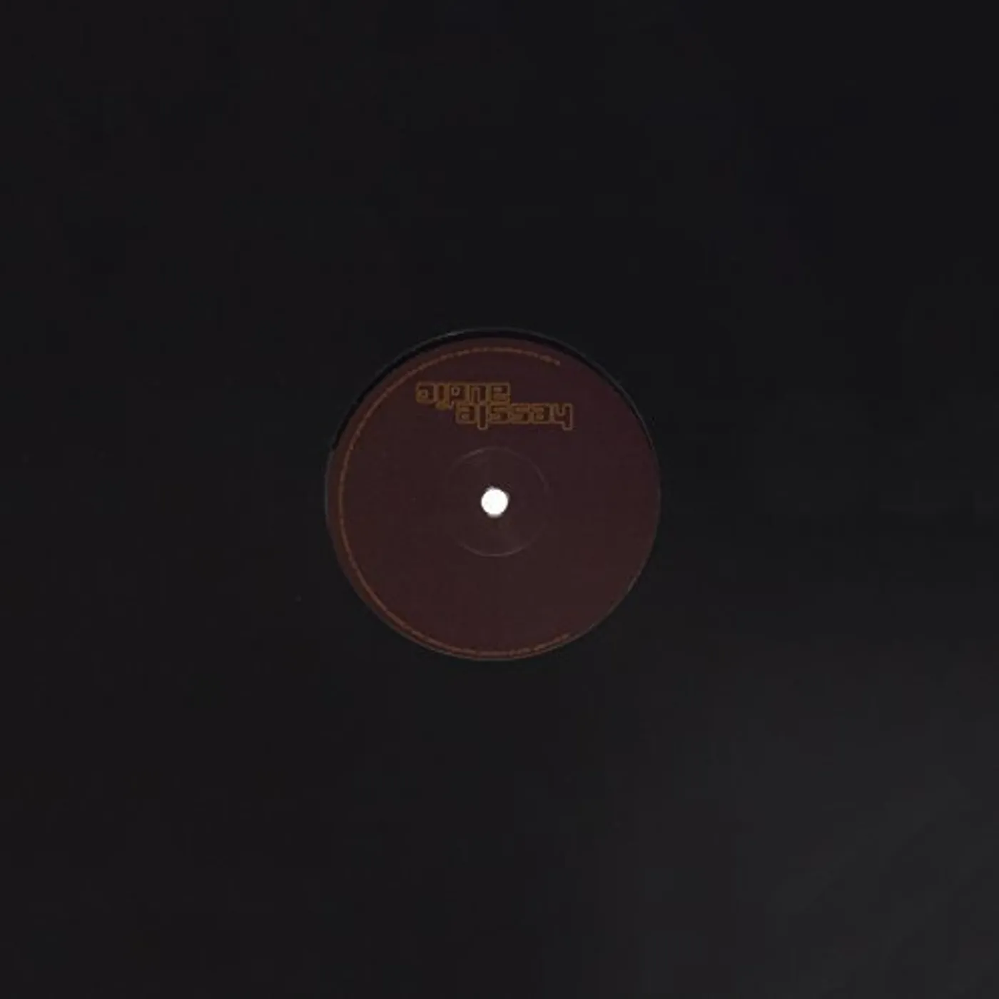 BRUCE Not Stochastic Vinyl Record