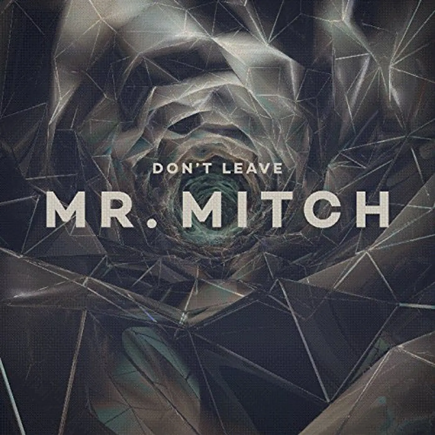 Mr. Mitch Don't Leave Vinyl Record