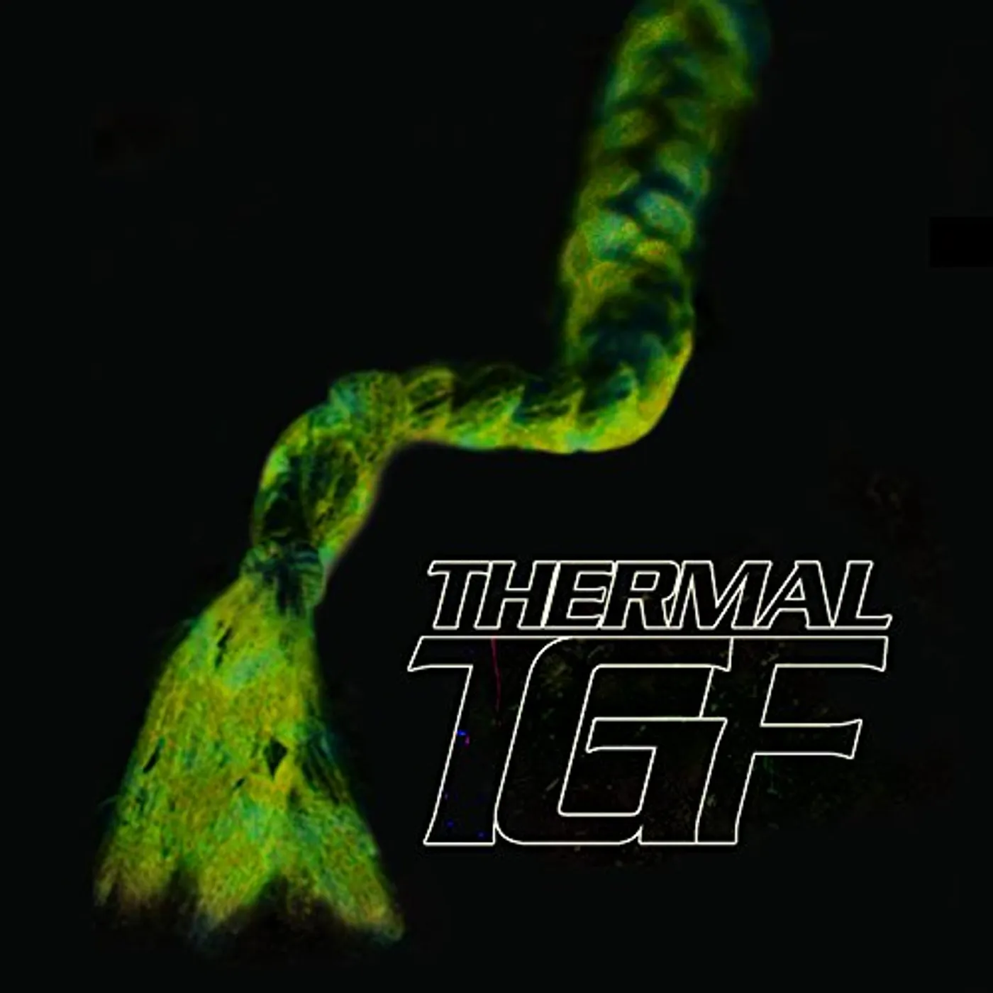 Teengirl Fantasy Thermal Vinyl Record