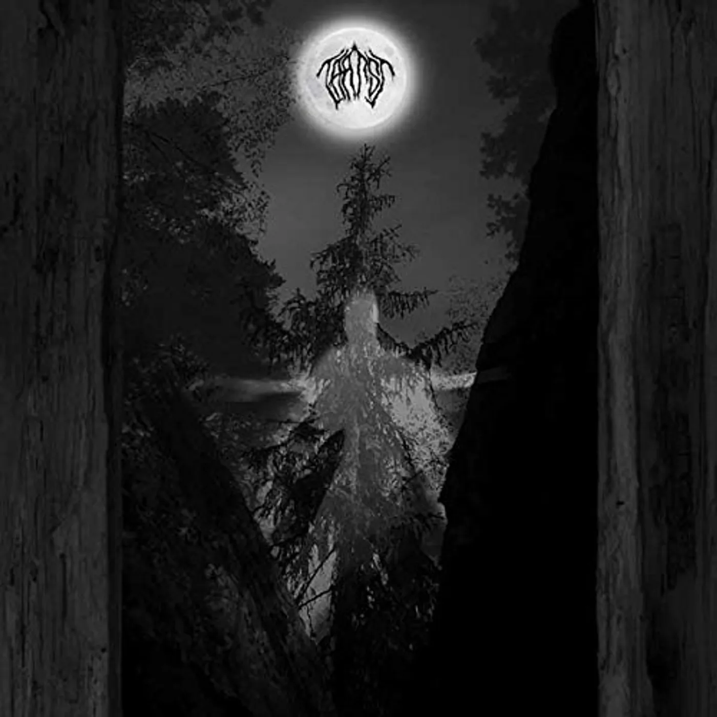Taatsi AMIDST THE TREES CD
