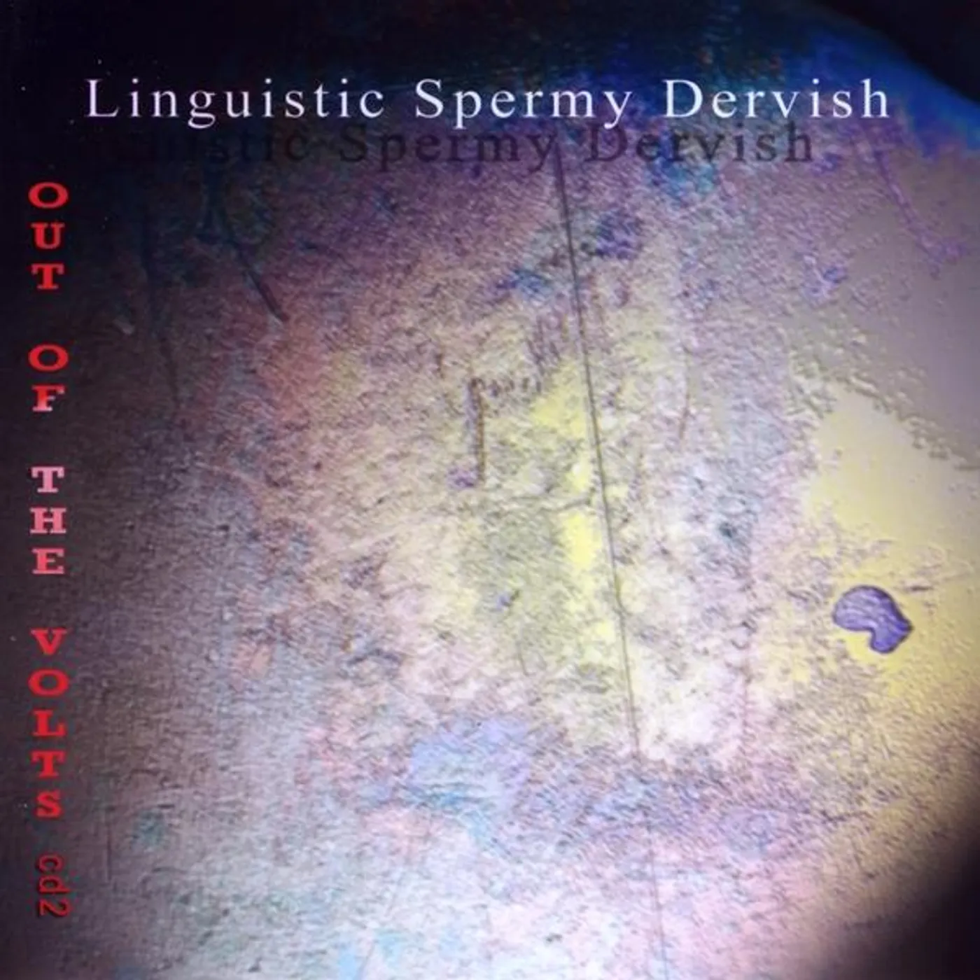 Linguistic Spermy Dervish OUT OF THE VOLTS 2 CD